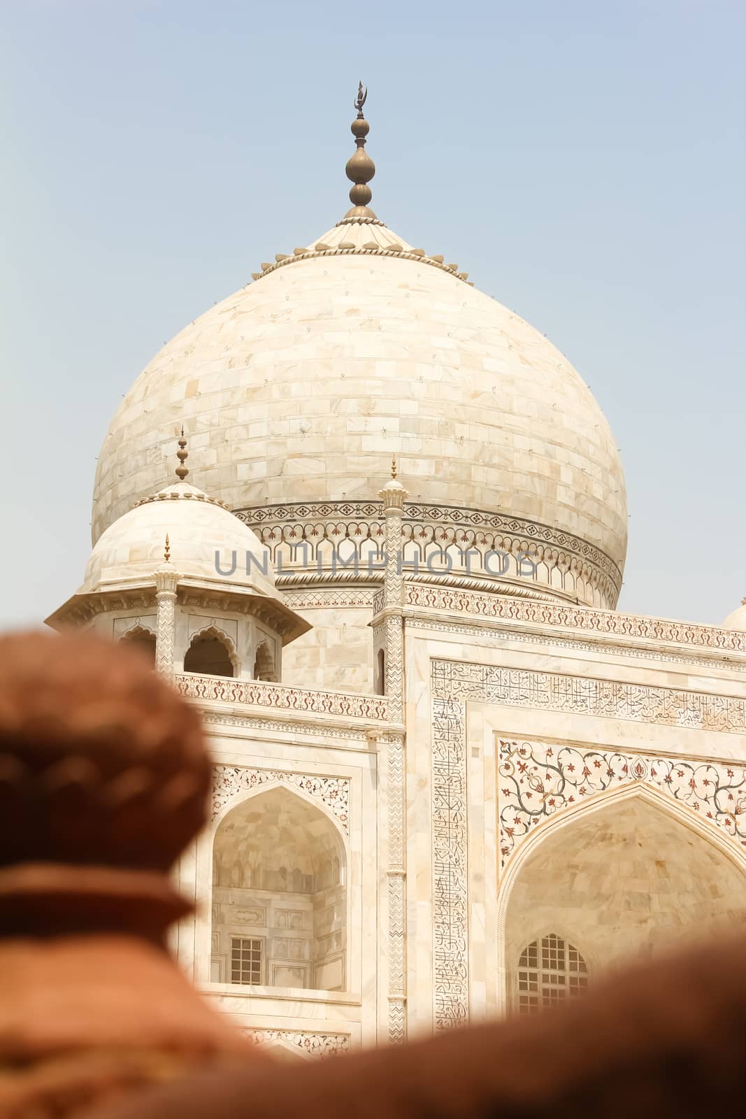 Closeup of dome of beautiful monument Taj Mahal, Agra, India