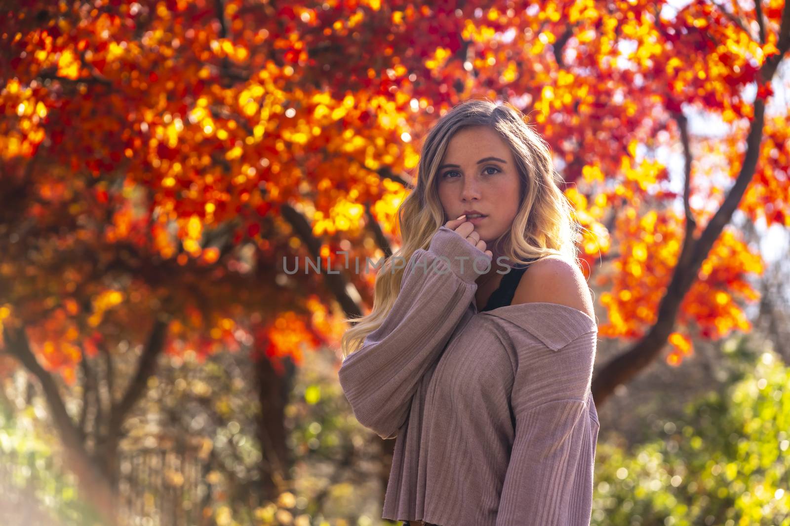 A gorgeous blonde model enjoys a Autumn day outdoors in a park