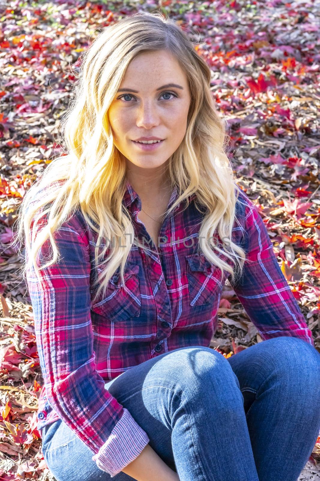 A gorgeous blonde model enjoys a Autumn day outdoors in a park