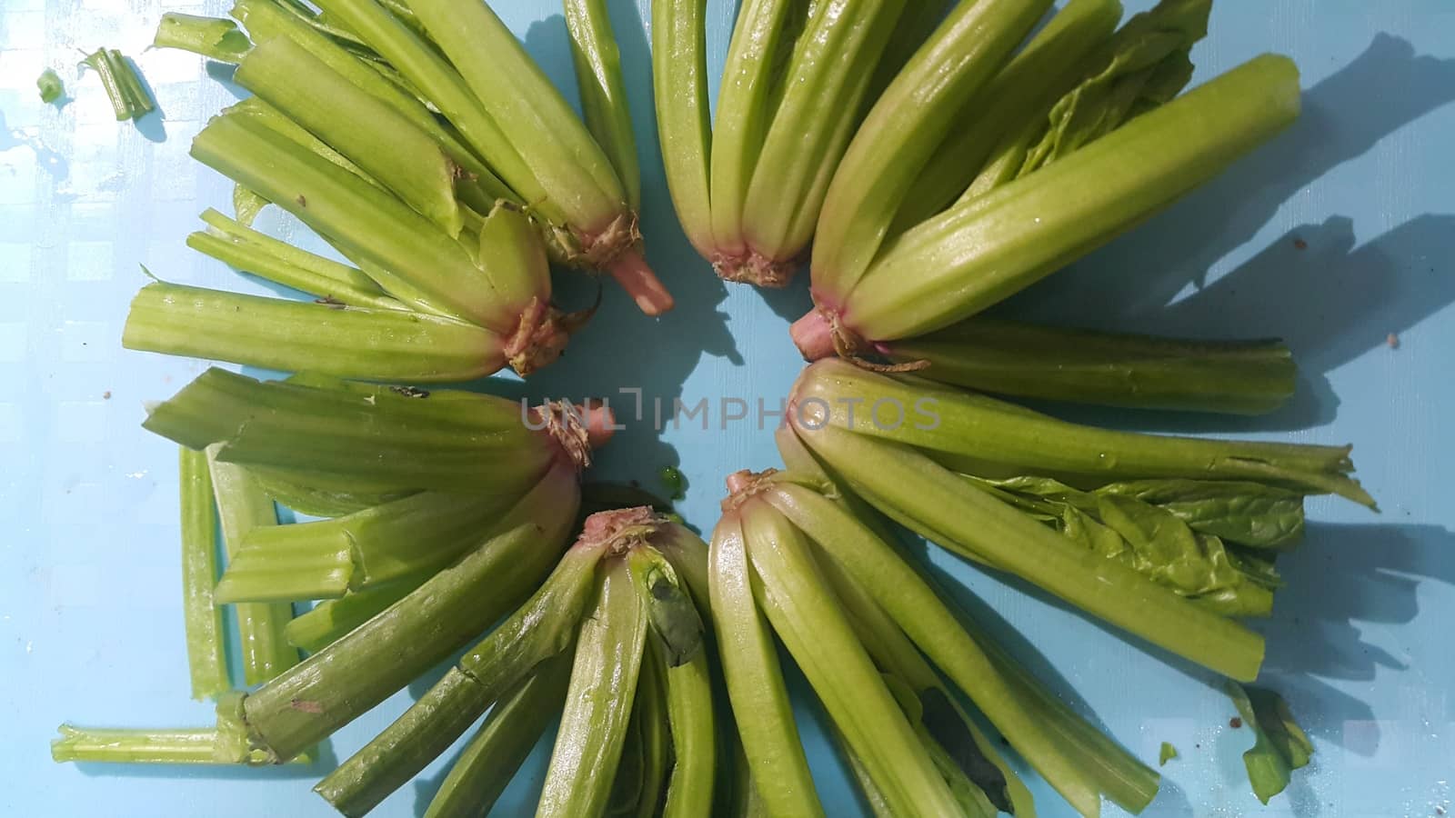 Close up view of lush green leaves base of spinach or paalak saag used for making