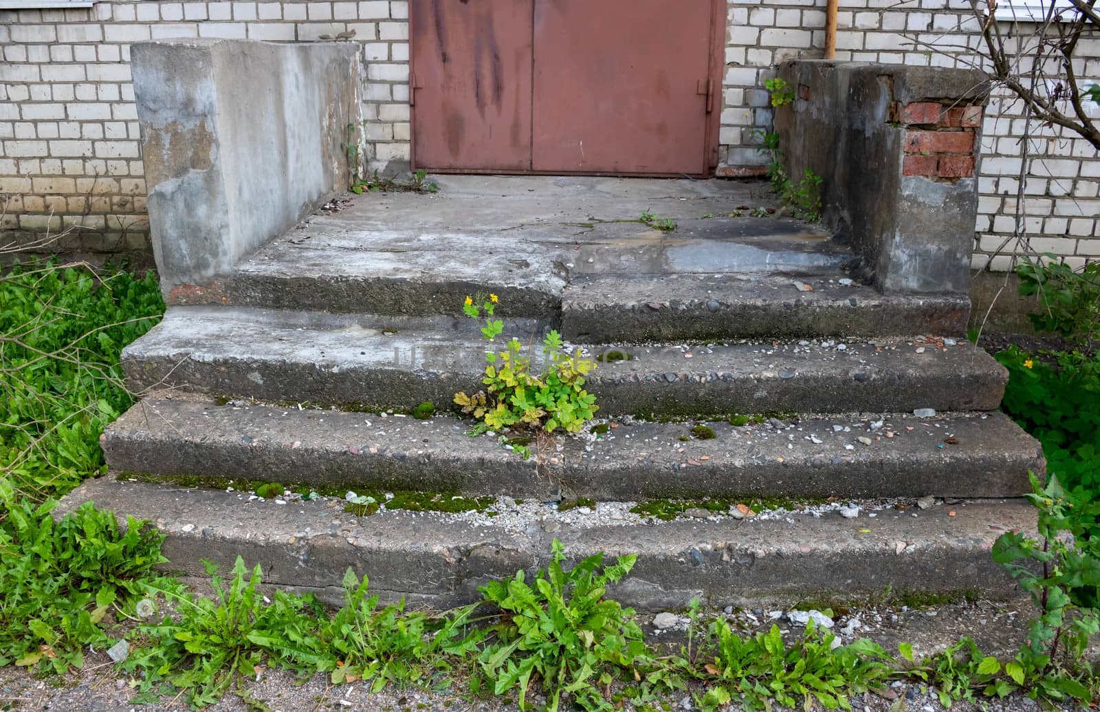 Old overgrown porch of an abandoned building.