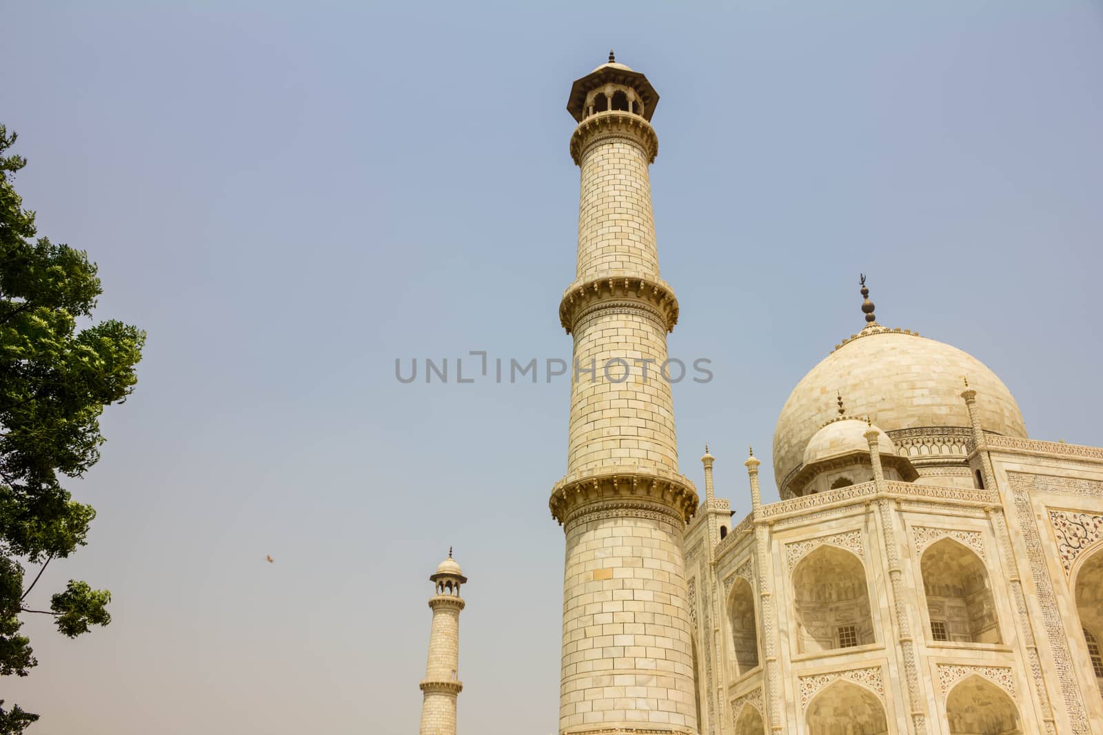 perspective view of Taj Mahal mausoleum, vintage retro style picture