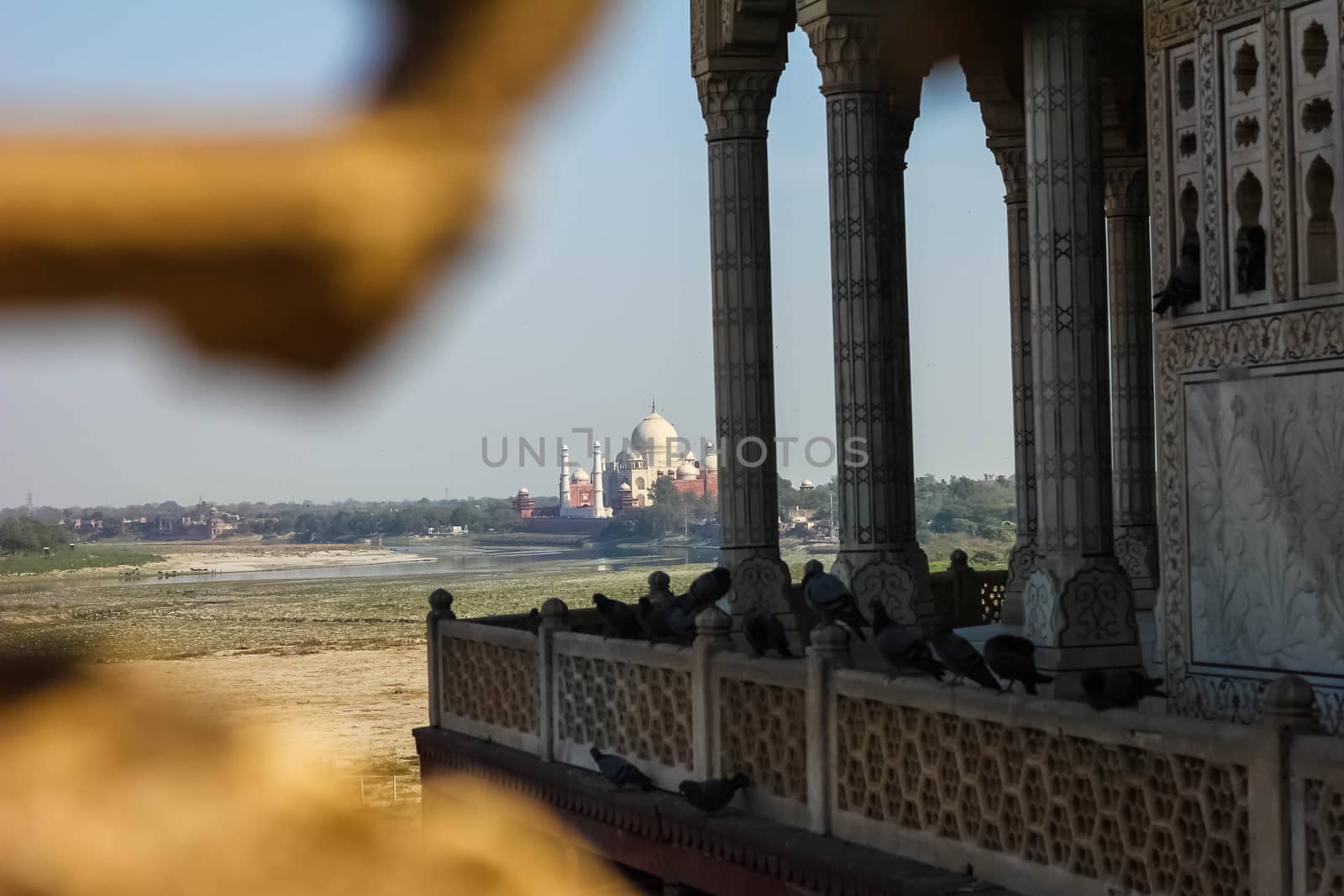 View of Taj Mahal from lattice jali in Agra, Uttar Pradesh, India. It was build by shah jahan as a memorial for his second wife Mumtaz Mahal