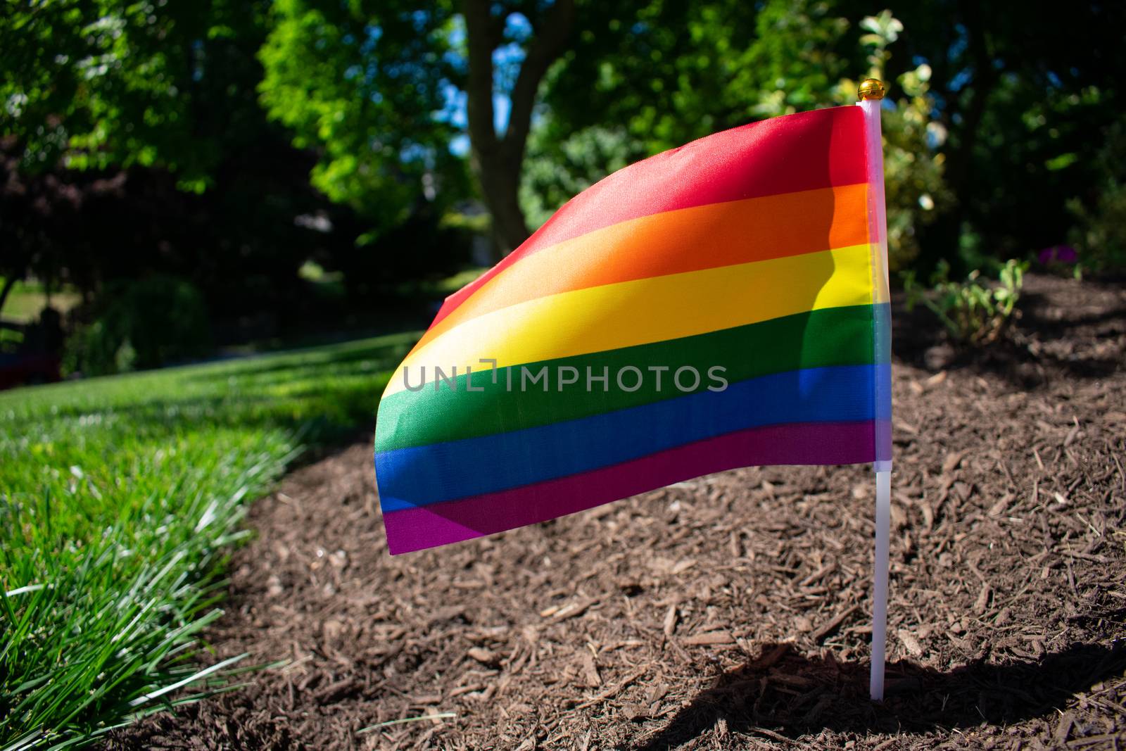 A Small Rainbow Flag in Black Mulch on a Suburban Front Lawn