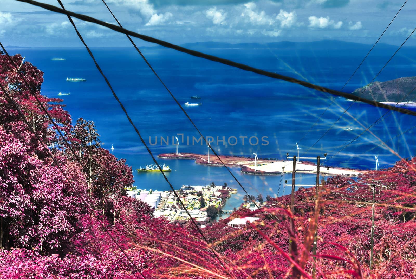 Beautiful pink and purple infrared shots of palm trees on the Seychelles