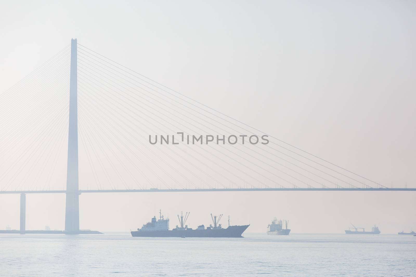 Russian bridge in Vladivostok is shrouded in thick fog.