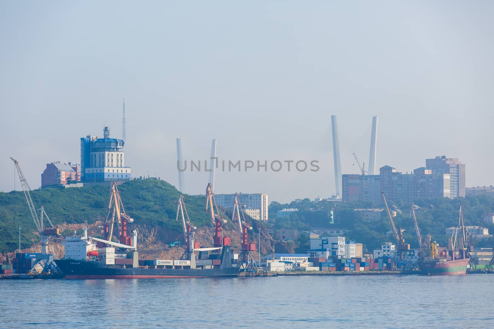 Vladivostok Marine Facade. Commercial seaport from the sea side.