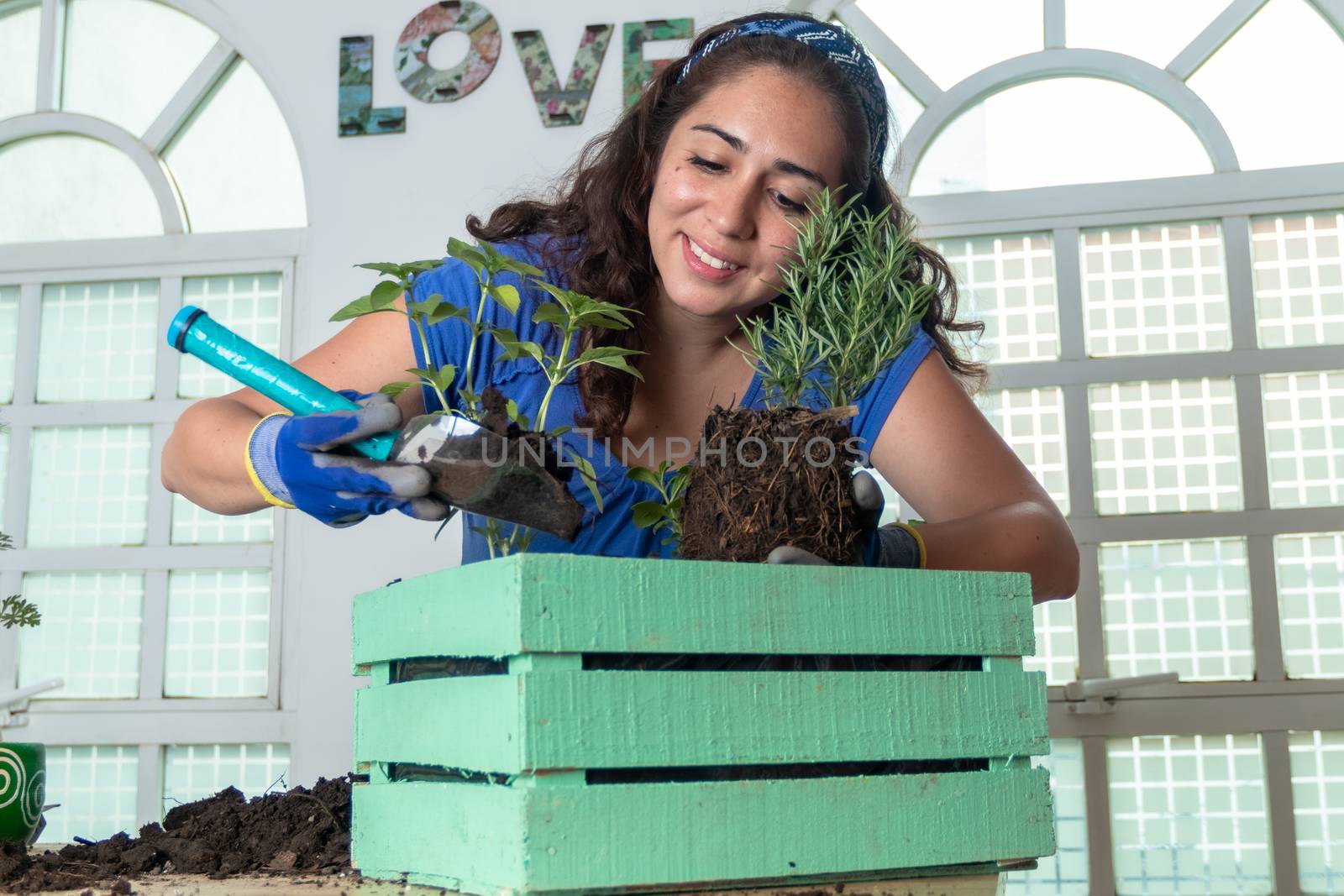 Woman transplanting plant a into a new pot. Young businesswoman transplanting plants in flowerpots. people, gardening, flower planting and profession concept by leo_de_la_garza