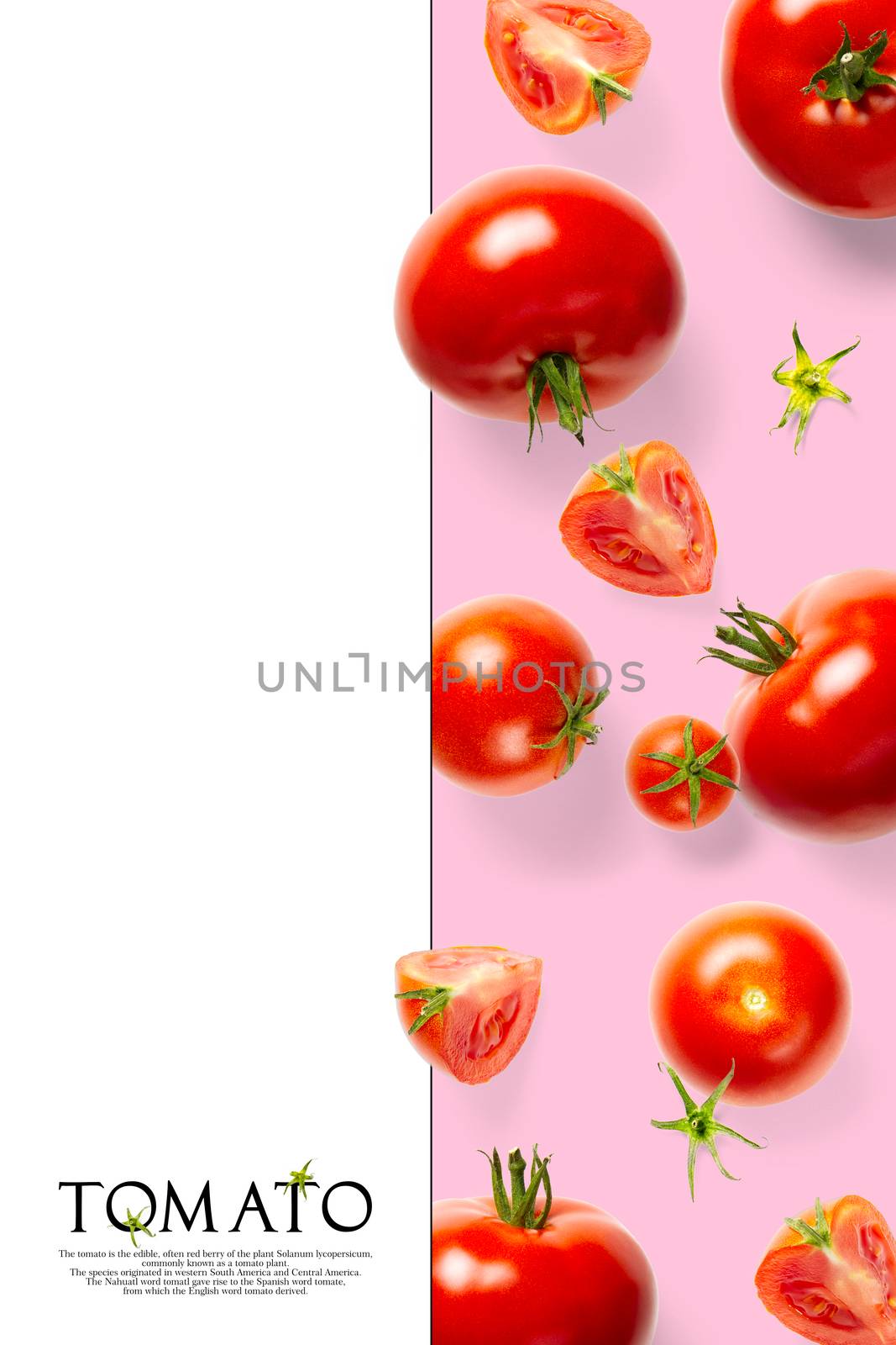 Creative layout made of tomato on the pink background. Creative flat lay set of tomatoes with simple text on white background, copy space. by PhotoTime