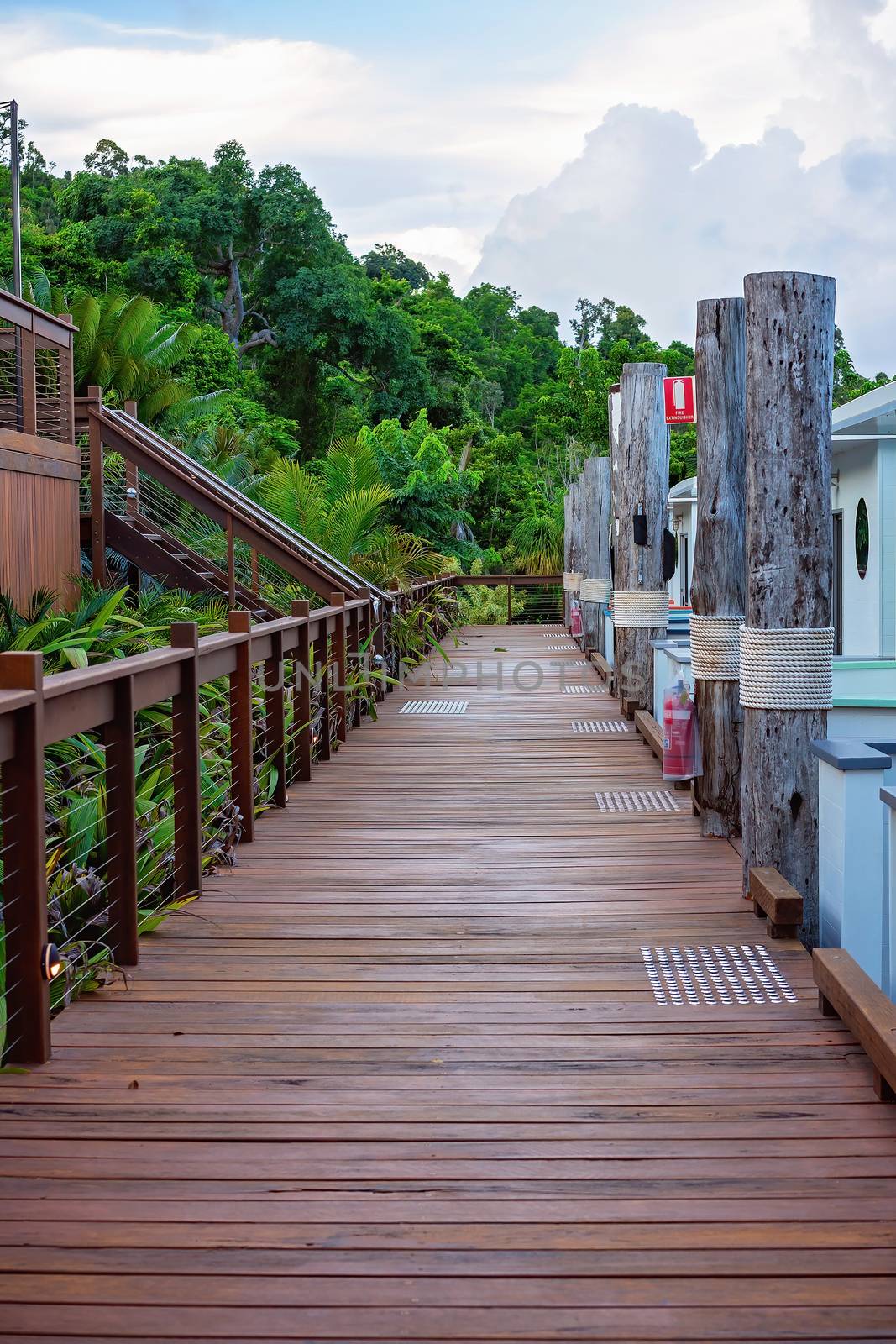 A timber boardwalk joining boat accommodation with stairs at a simulated jetty, with bushland at the end