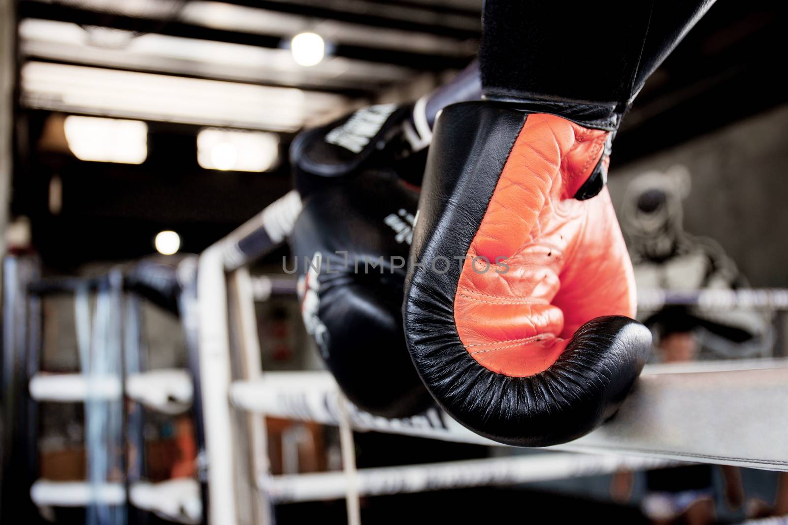 Boxing gloves hanging on ring. by start08