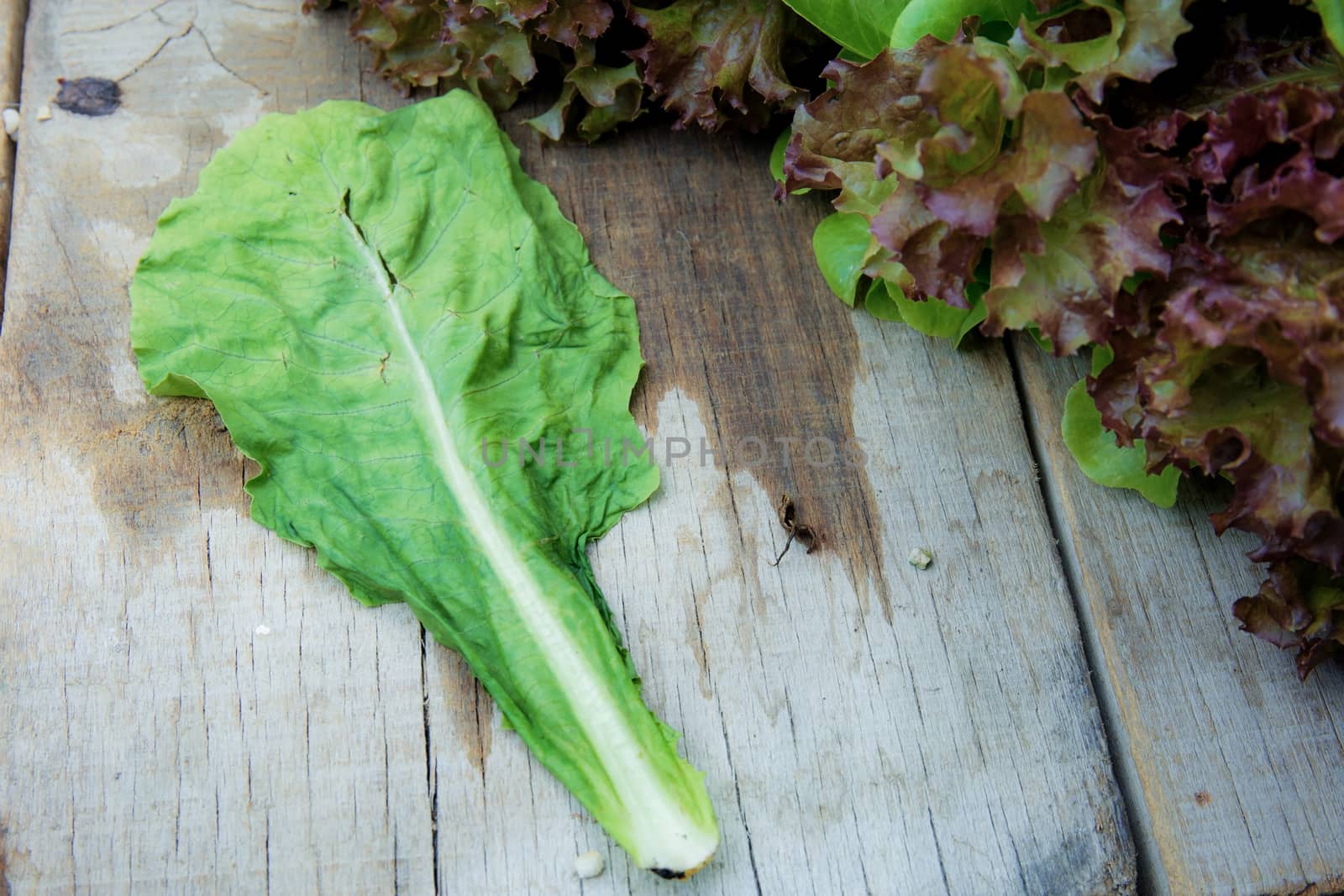 Leaves withered vegetables on wooden floor.