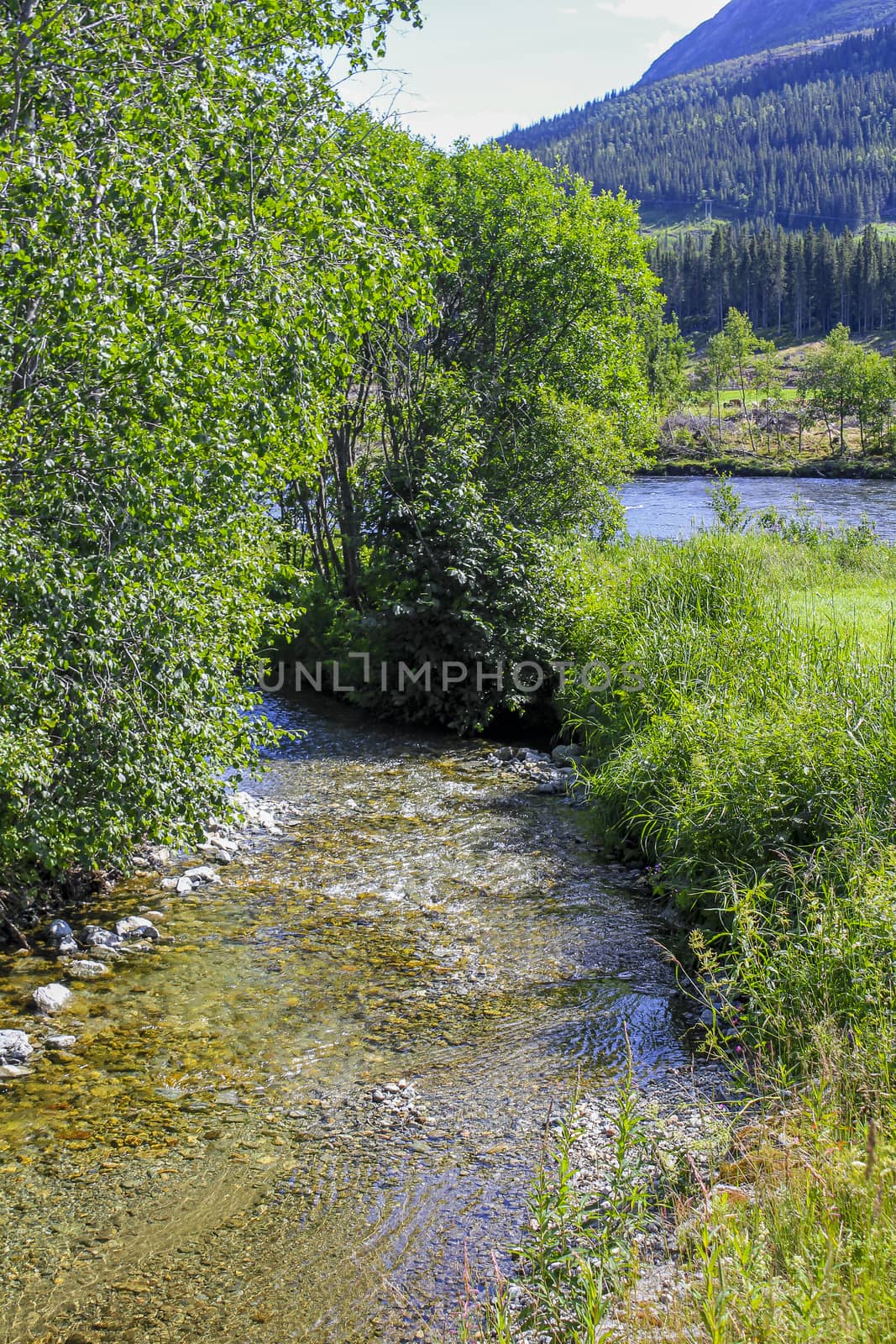 Flowing beautiful river lake Hemsila, Hemsedal, Viken, Norway. by Arkadij