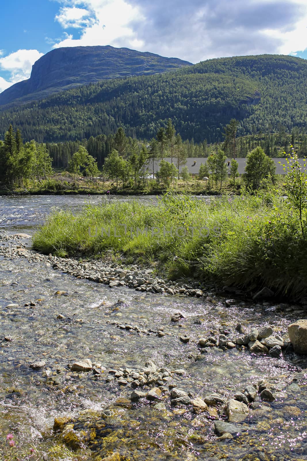 Flowing beautiful river lake Hemsila with mountain panorama,Hemsedal, Norway. by Arkadij