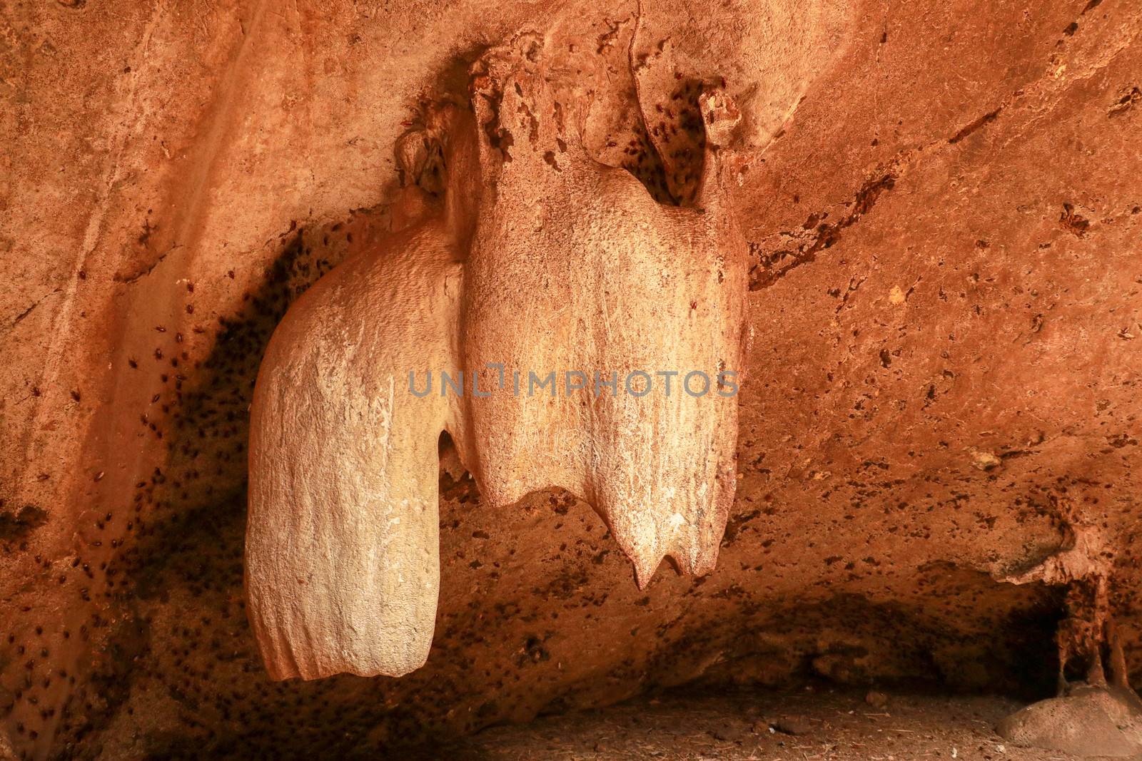 Limestone stalactites, stalactites in the bat cave of Goa Bangkang Prab, Lombok, Indonesia.