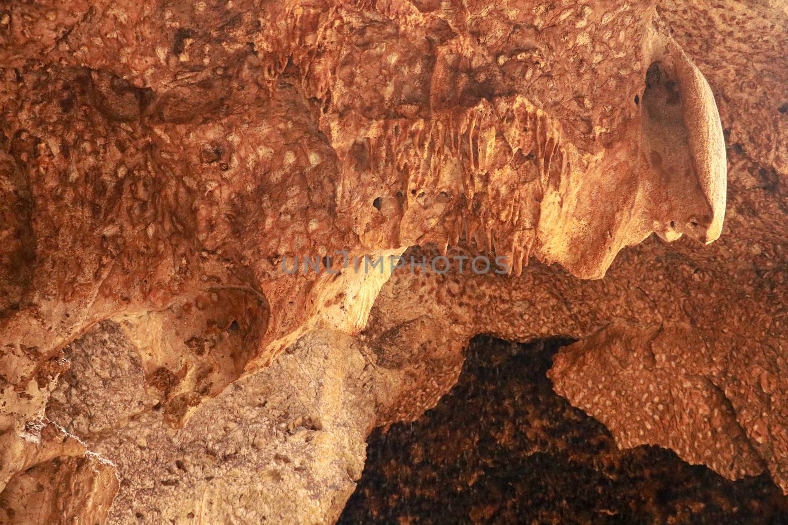 Limestone stalactites, stalactites in the bat cave of Goa Bangkang Prab, Lombok, Indonesia.