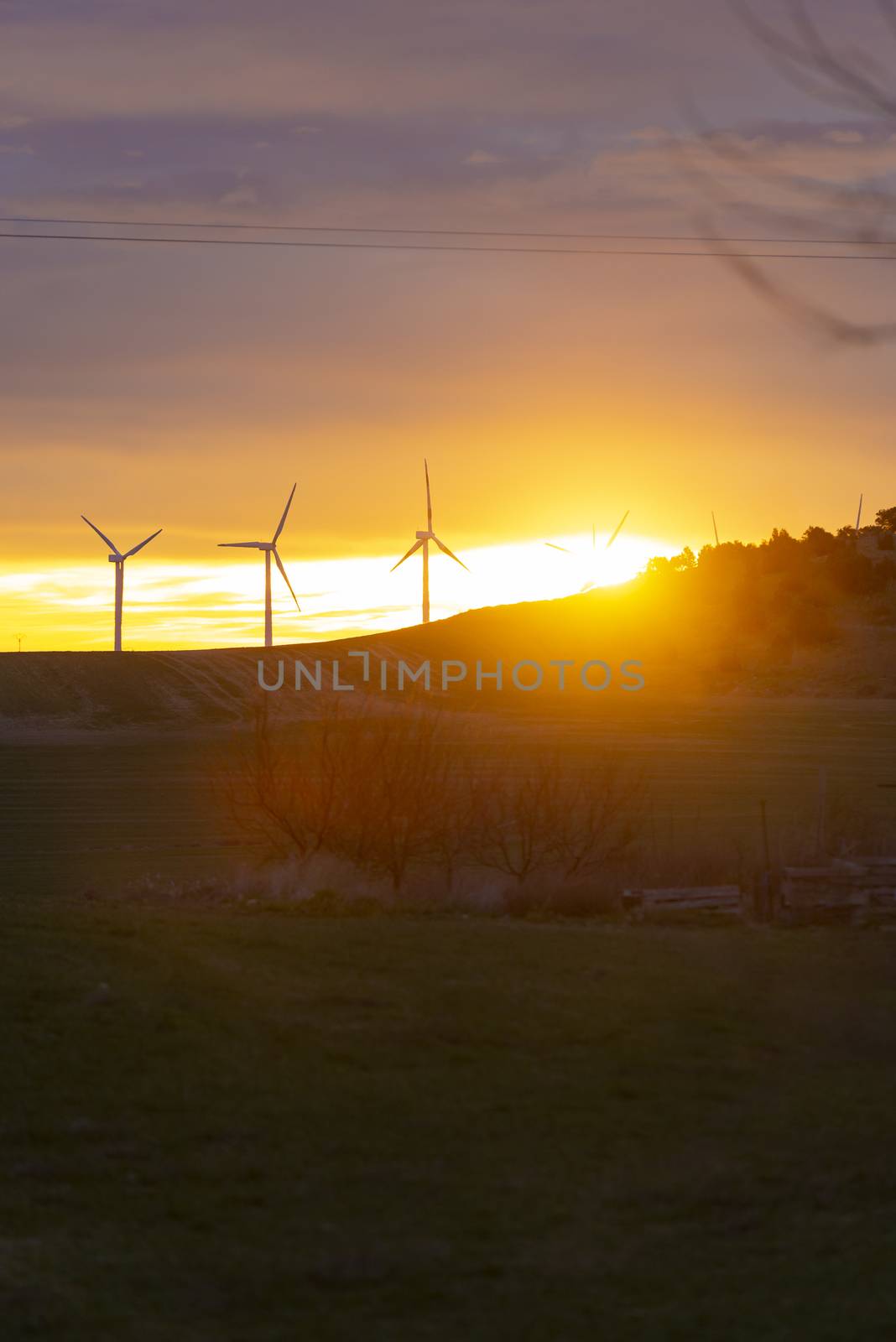 Wind Turbines in field against sunset sky, Spain