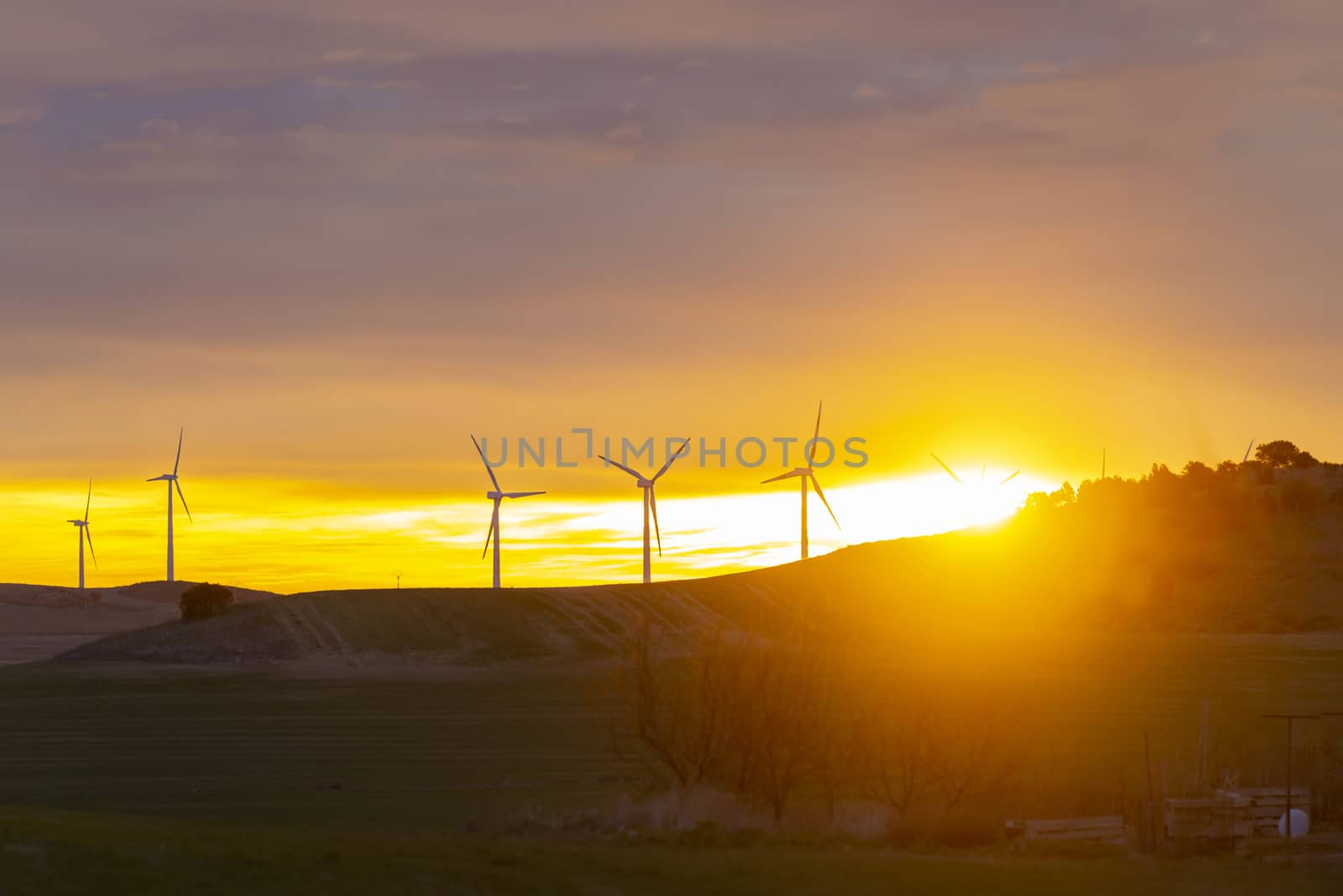 Wind Turbines in field against sunset sky, Spain