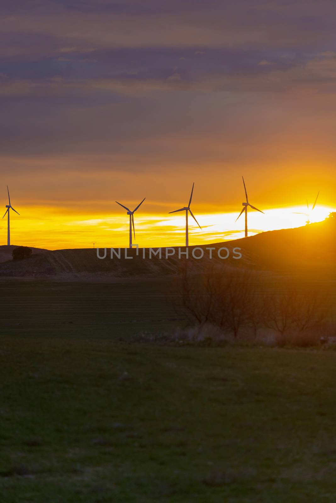 Wind Turbines in field against sunset sky, Spain