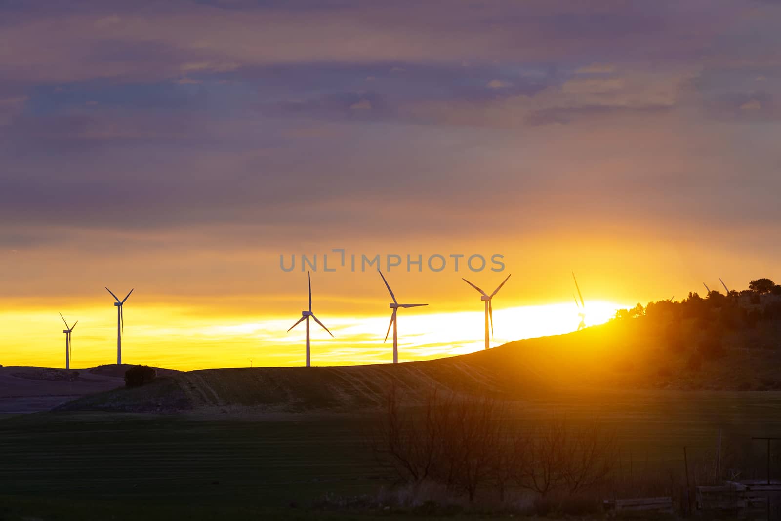 Wind Turbines in field against sunset sky, Spain