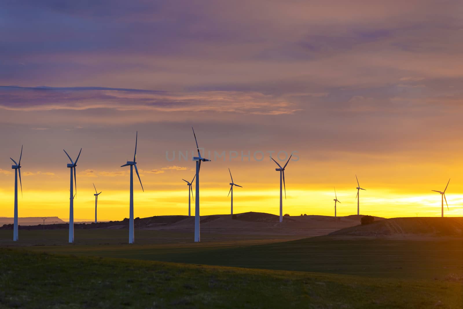 Wind Turbines in field against sunset sky, Spain