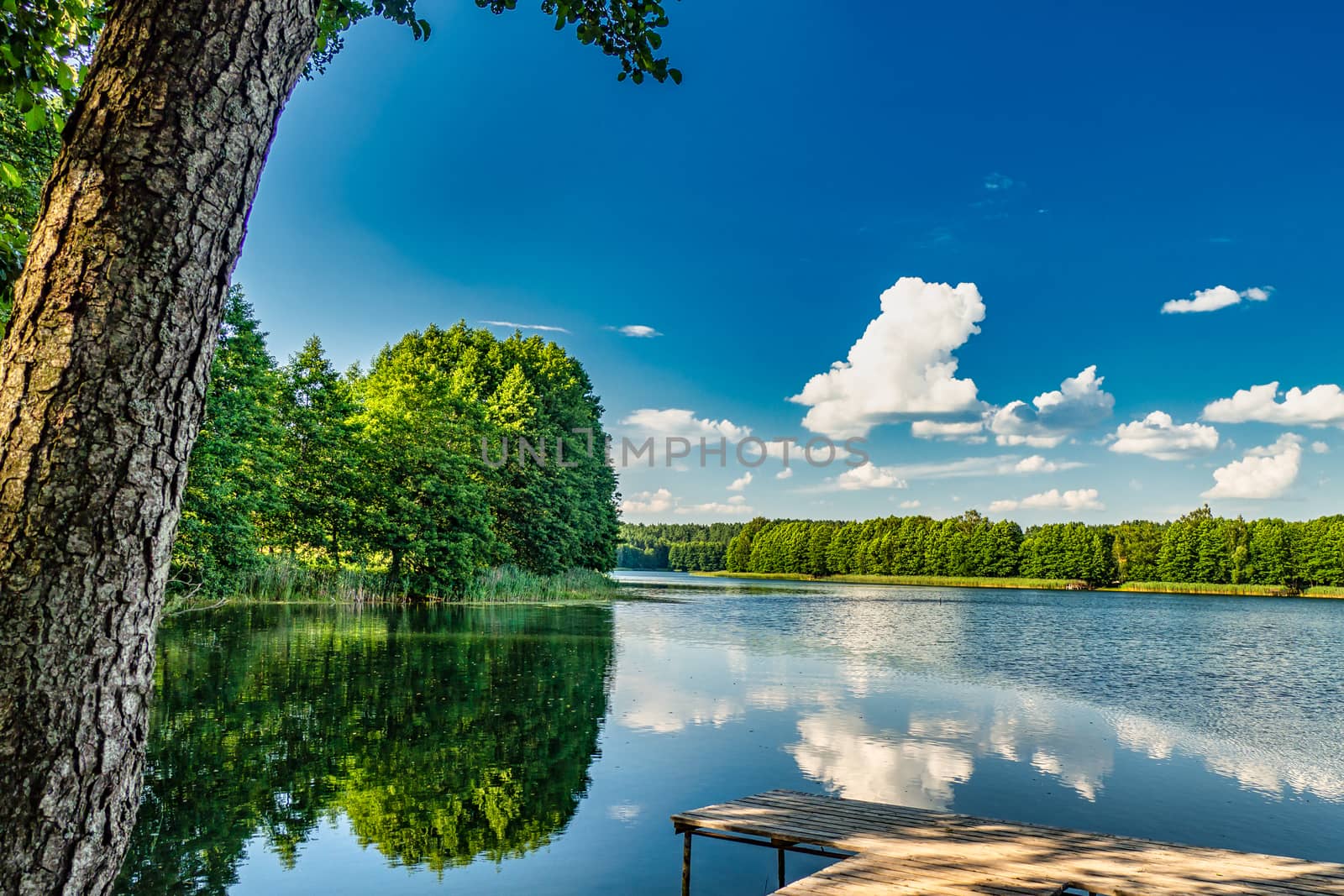 Sunny Summer Landscape With Blue Sky and White Clouds. Countryside Lake and Forest Panorama.