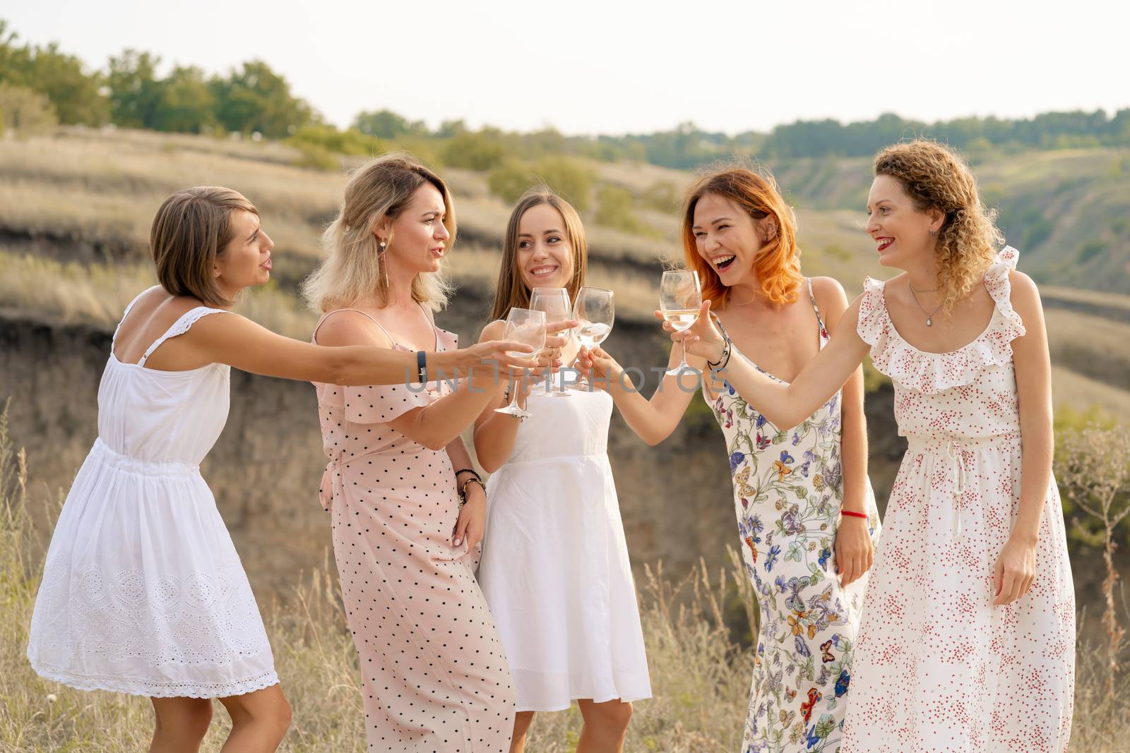 The company of female friends enjoys a summer picnic and raise glasses with wine by Try_my_best