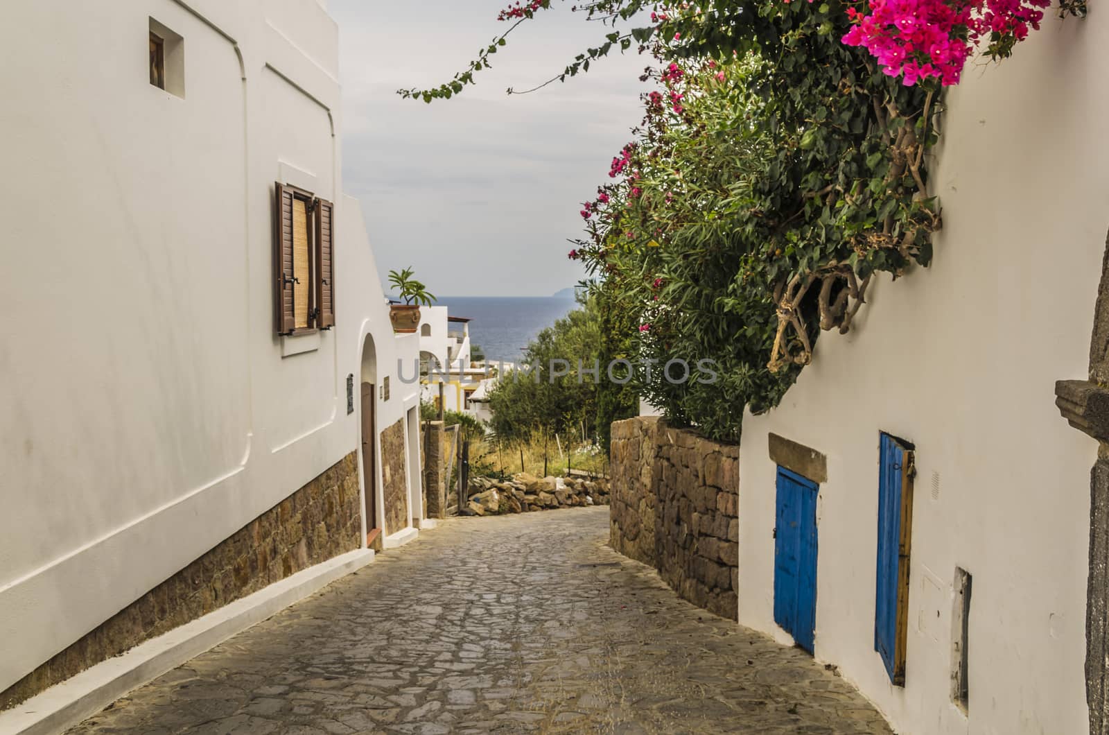 street of stones and white houses with colorful flowers and the sea tyrrhenian background panarea one of the Aeolian Islands