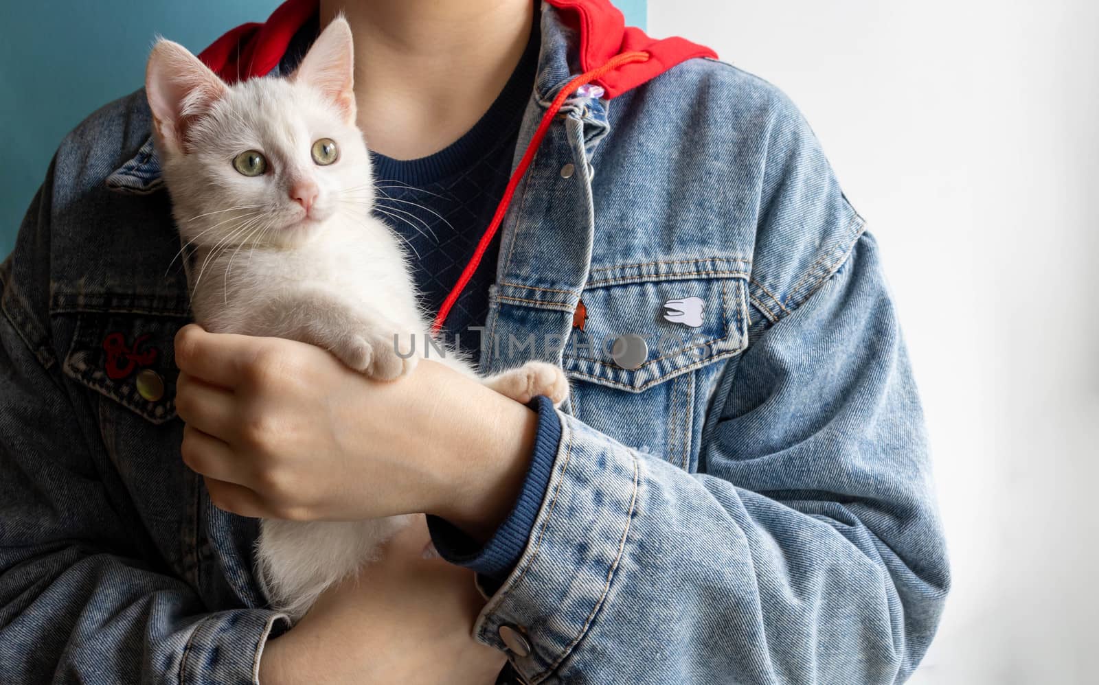 Little white kitten warms up in her arms.