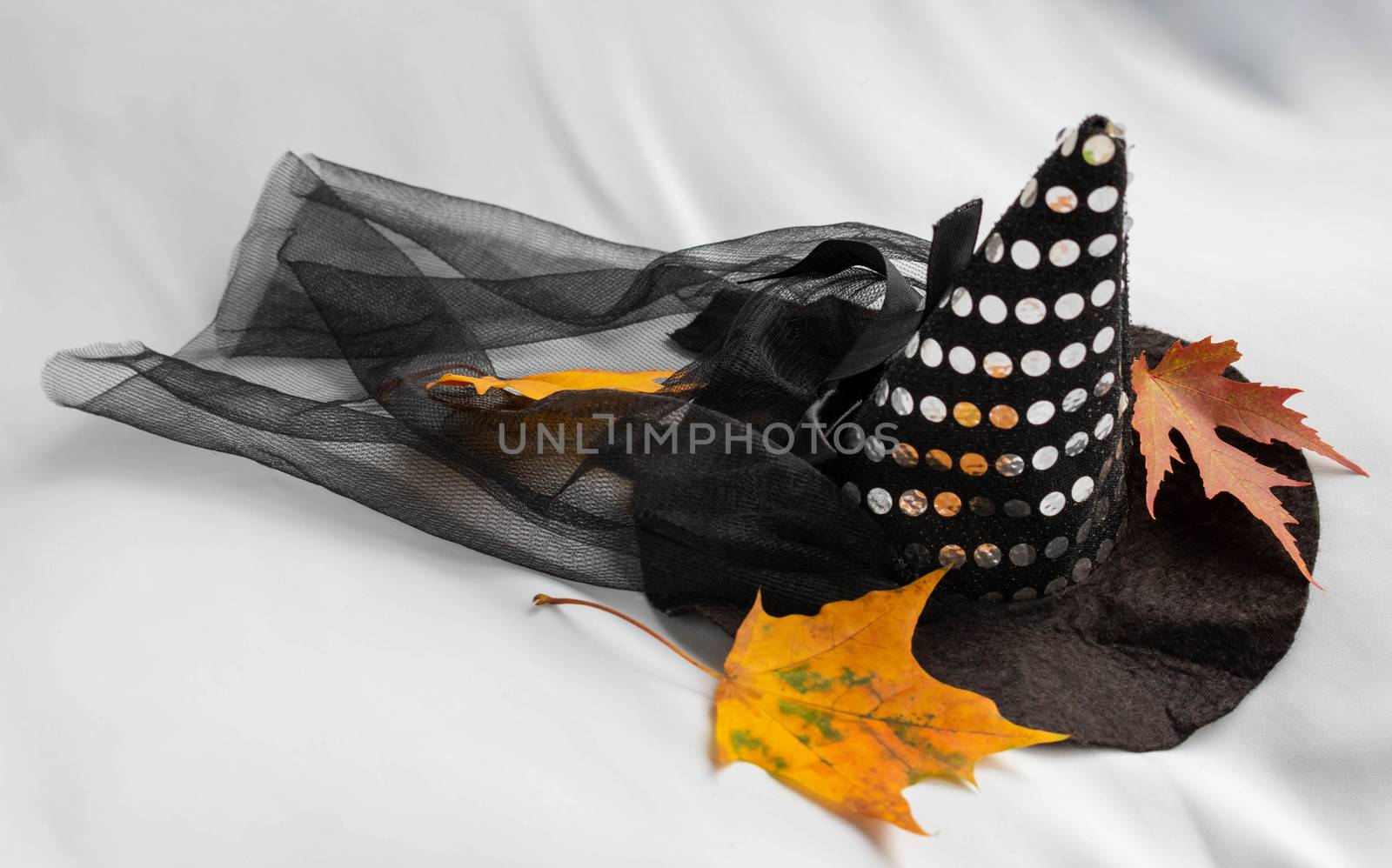 Halloween Witch wizard's hat isolated on white background with clipping path by lapushka62