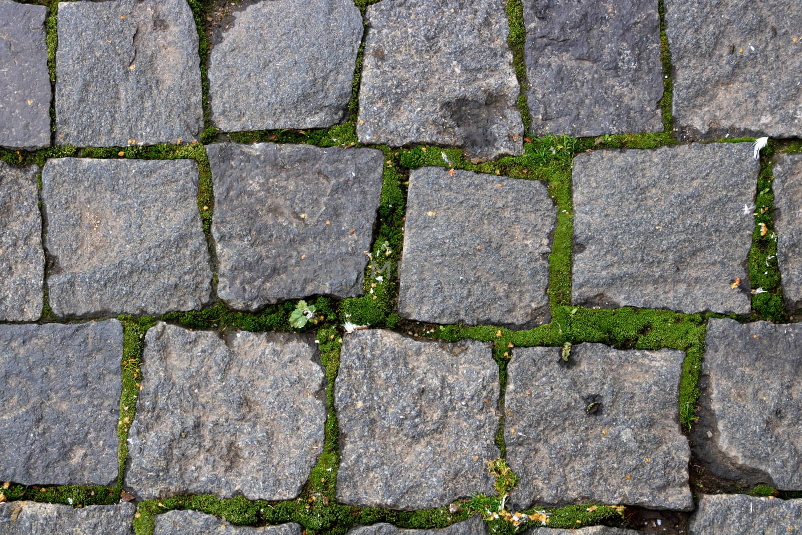 Granite paving stone background of the sidewalk. Abstract background of an old cobblestone street close-up.