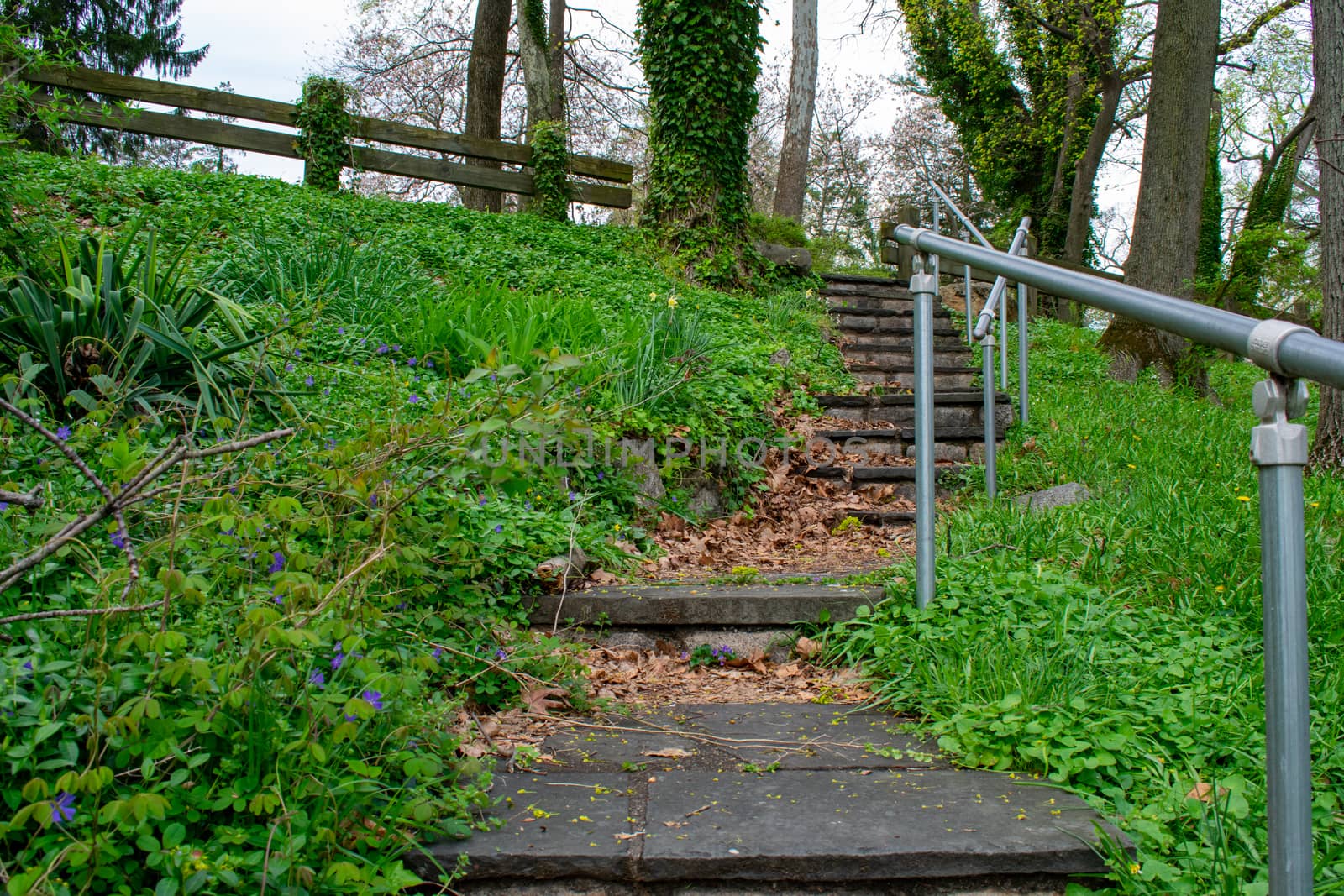 A Stone Path In an Overgrown Park Full of Greenery by bju12290