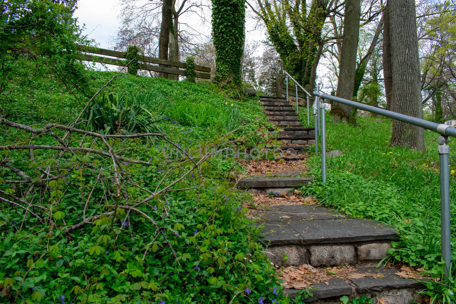 A Stone Path in an Overgrown Park Full of Greenery With a Metal Fence on the Side