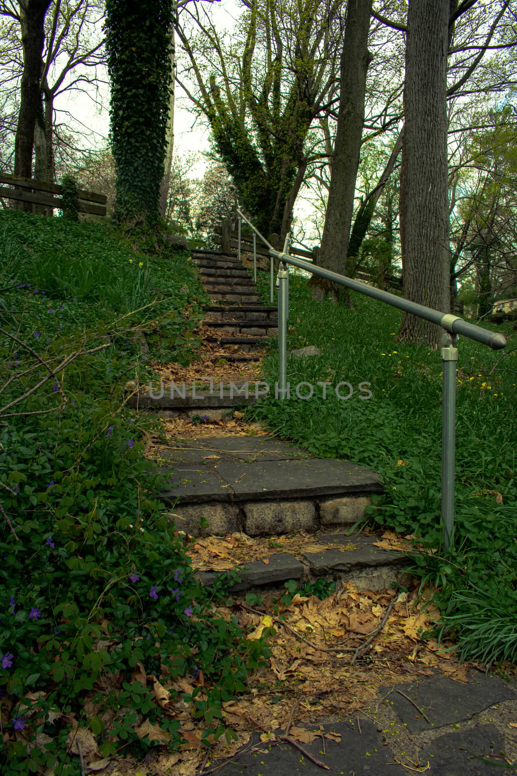 A Stone Path in an Overgrown Park Full of Greenery With a Metal Fence on the Side