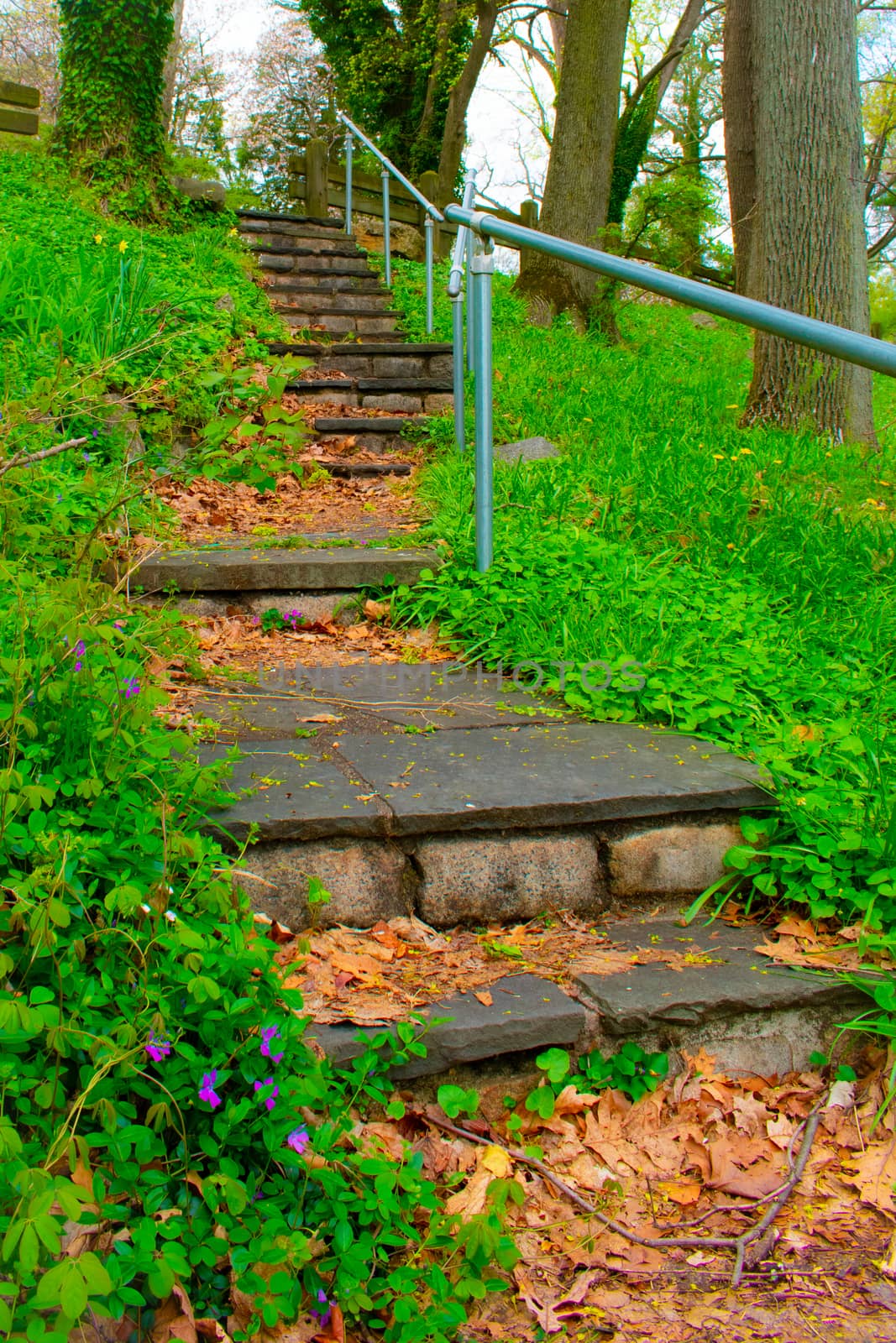 A Stone Path in an Overgrown Park Full of Greenery With a Metal Fence on the Side