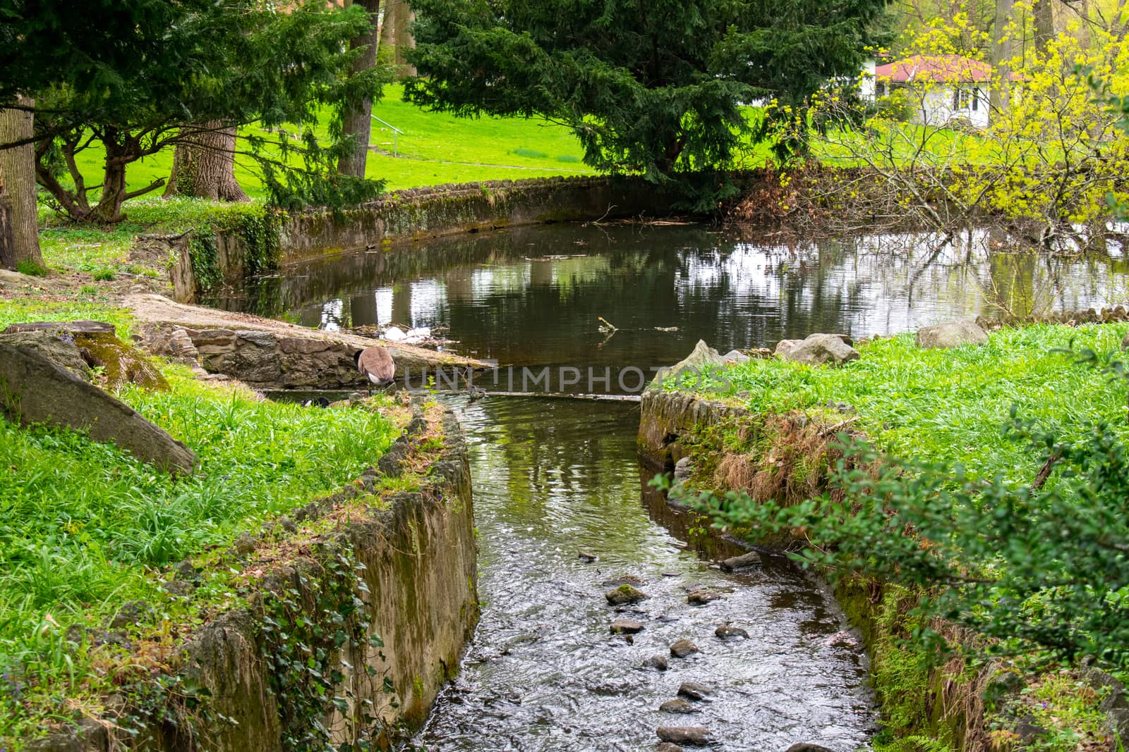 A Man-Made Cobblestone Stream Leading to a Lake in a Park Full of Lush Greenery