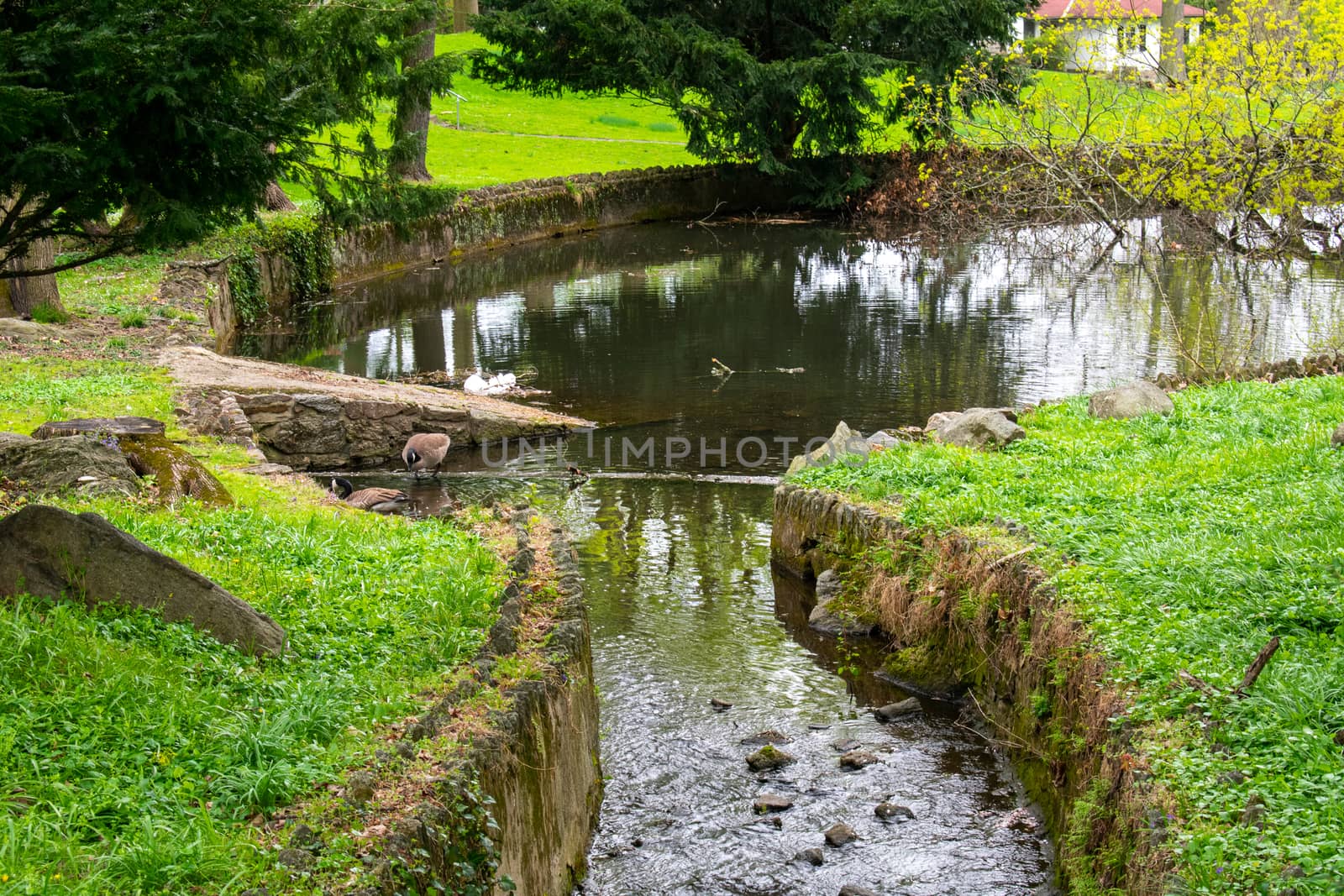 A Man-Made Cobblestone Stream Leading to a Lake in a Park Full of Lush Greenery