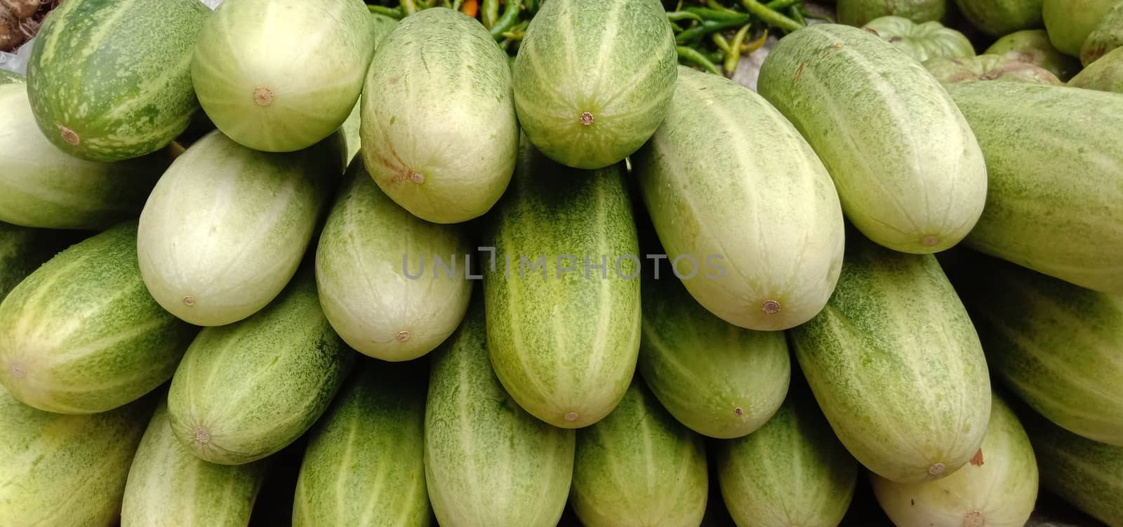 testy and healthy fresh cucumber closeup