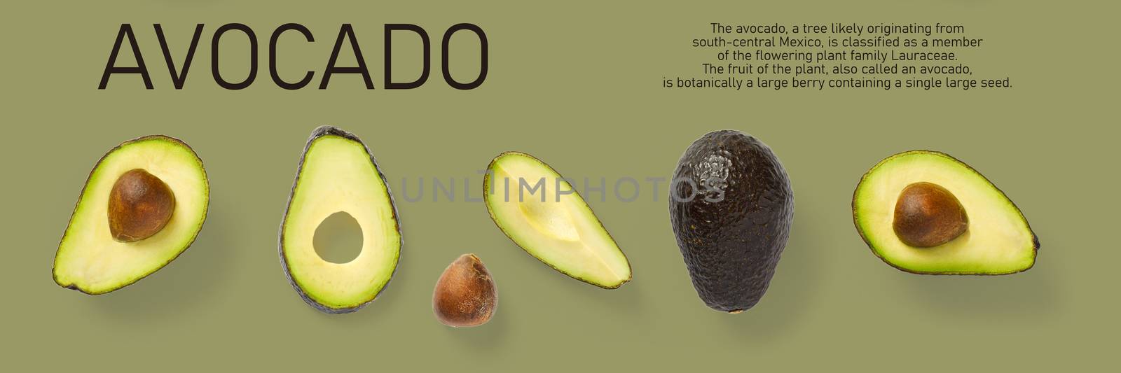 Modern creative avocado collage with simple text on solid color background. Avocado slices creative layout on olive background. Flat lay, Design elements, Food concept
