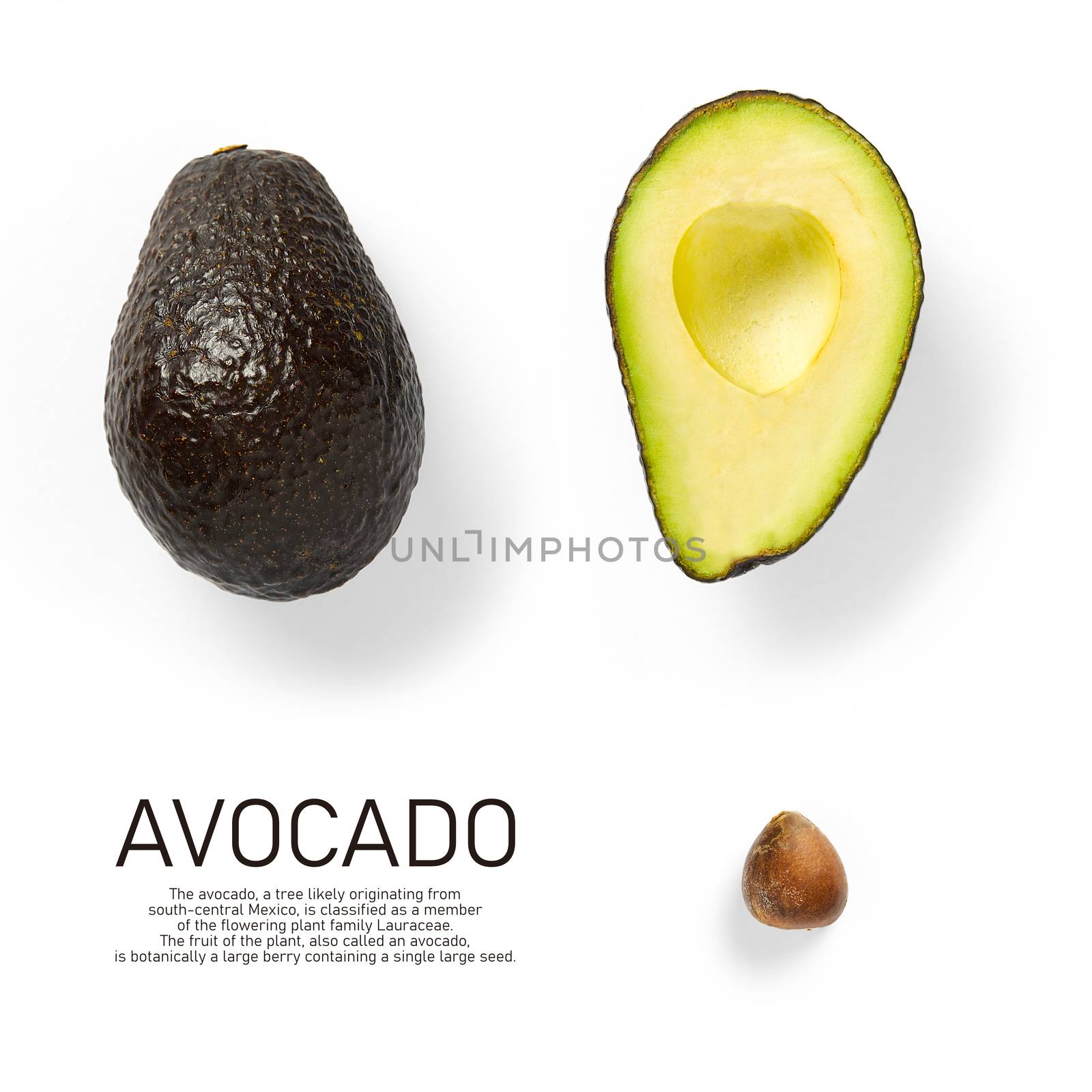 Modern creative avocado collage with simple text on solid color background. Avocado slices creative layout on White background. Flat lay, Design elements, Food concept