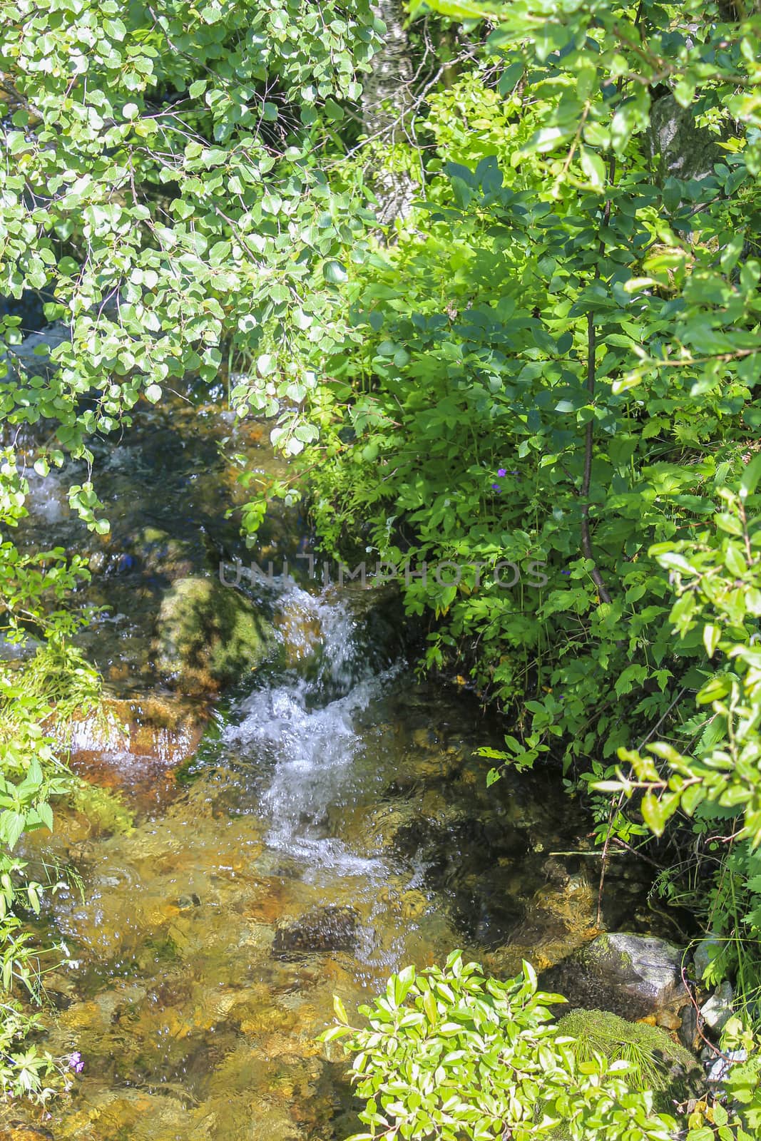 Flowing beautiful river lake Hemsila, Hemsedal, Viken, Norway. by Arkadij