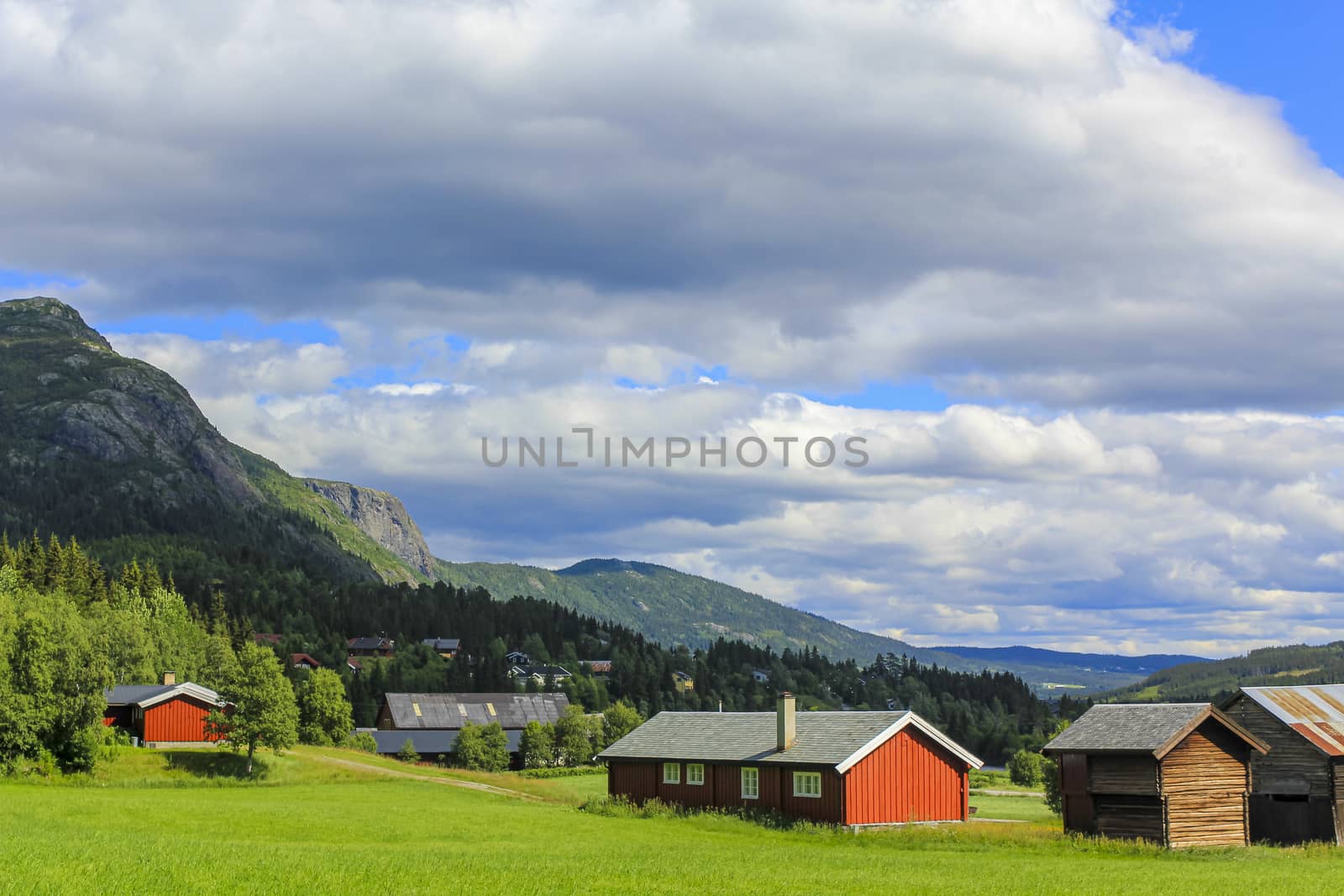 Panorama Norway, Hemsedal Mountains, red farmhouses and green meadows, Viken, Buskerud.