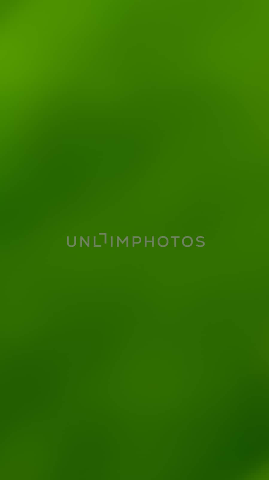 a green natural  blur background