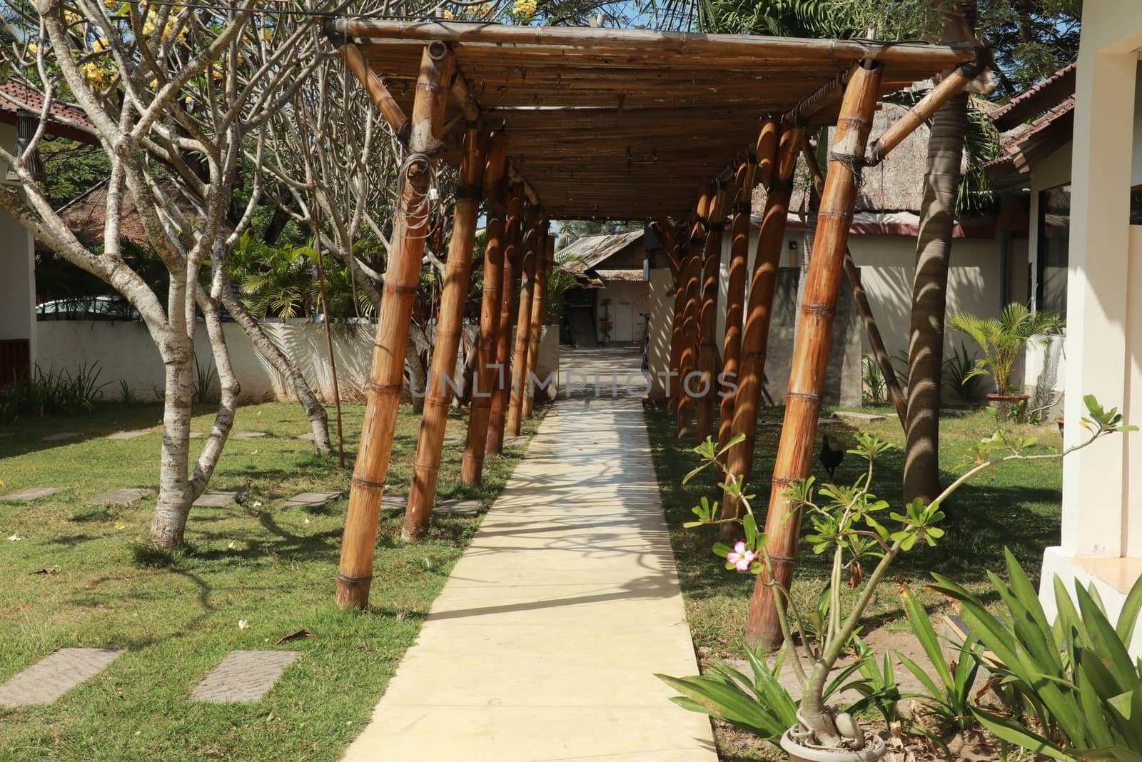 A concrete pavement path with bamboo roof. Bamboo roofing in a tropical garden.