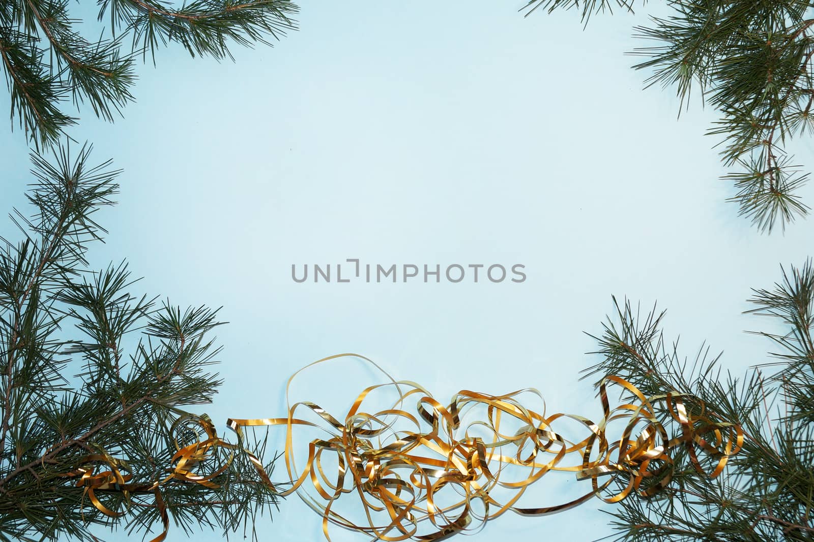 coniferous branches and a gold ribbon on a New Year's blue background, copy space.