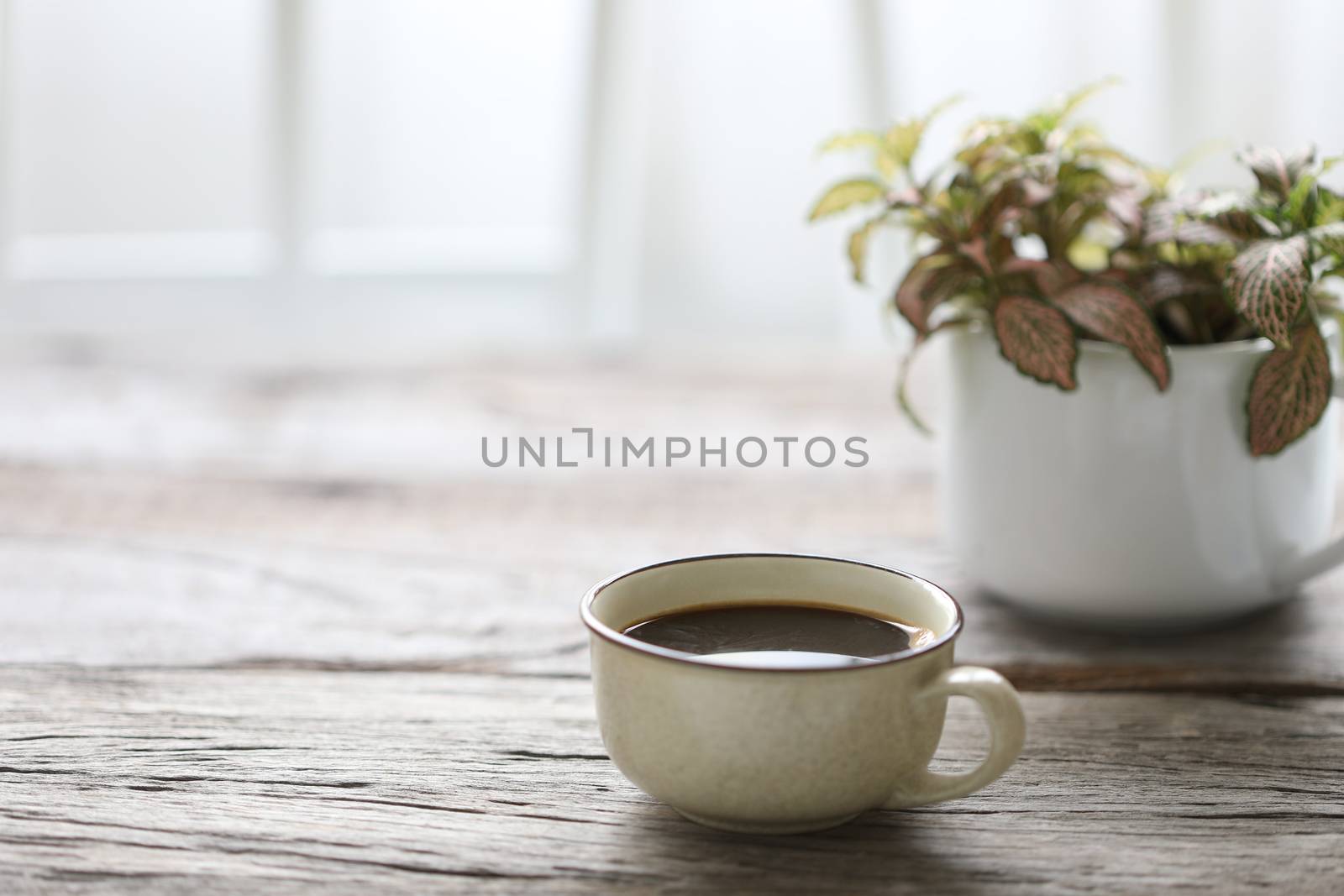 Coffee in vintage cup and plant on wooden table