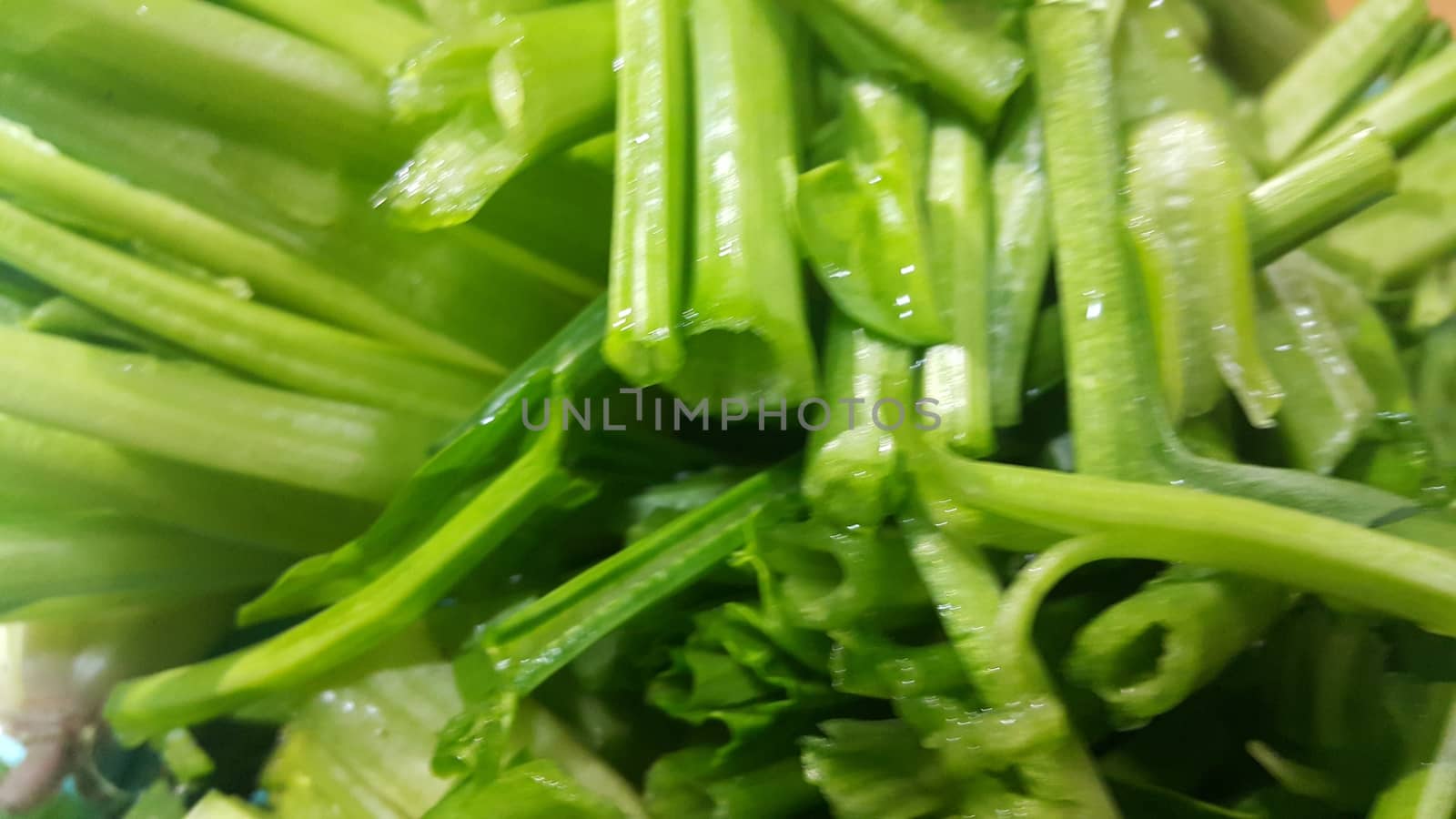 Close up view of lush green leaves base of spinach or paalak saag used for making