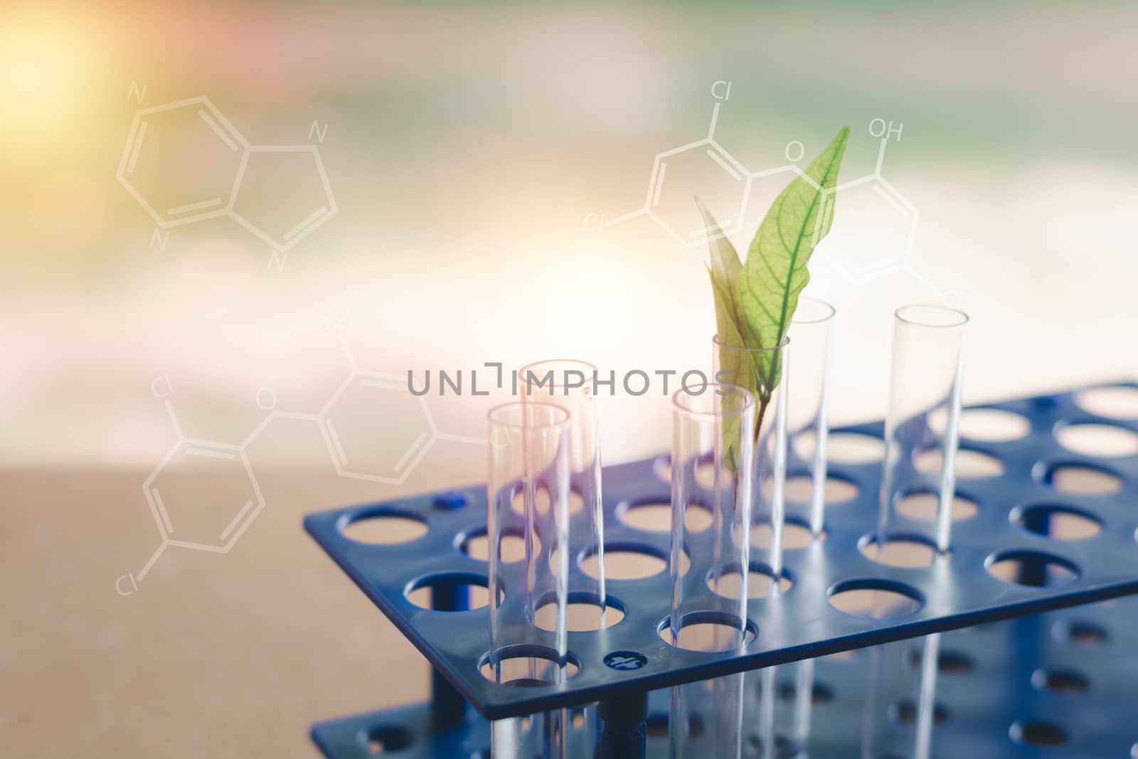 Laboratory research concept. Herb in test tube with molecular by iiinuthiii