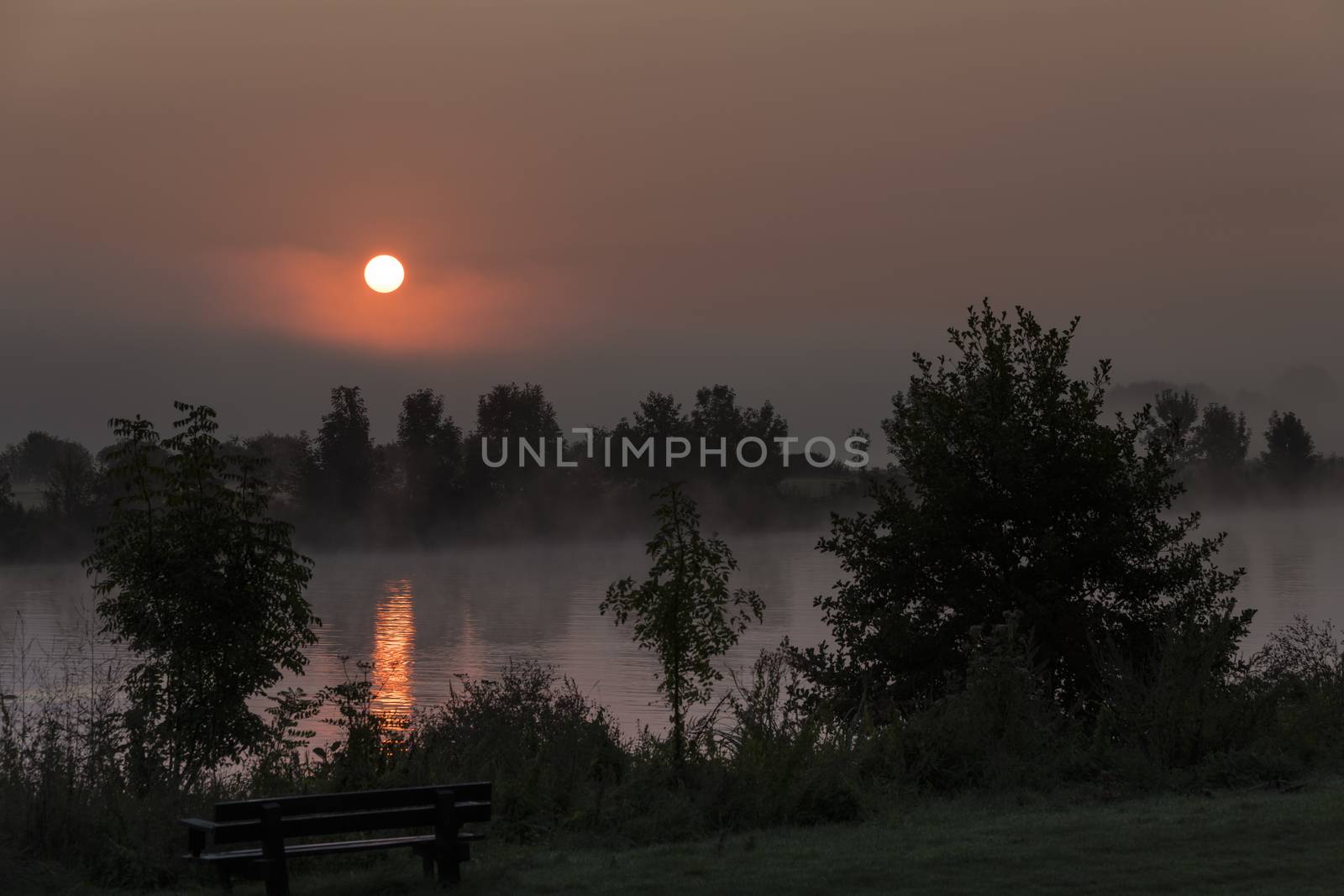 sunrise in the early morning over the river maas in limburg in holland with the trees mist and hazy fog