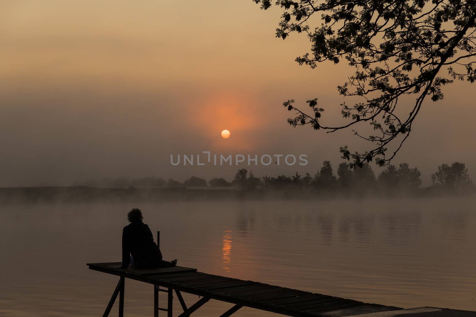 woman sits on wooden jetty during sunset in the early morning over the river maas in limburg in holland with the trees mist and hazy fog